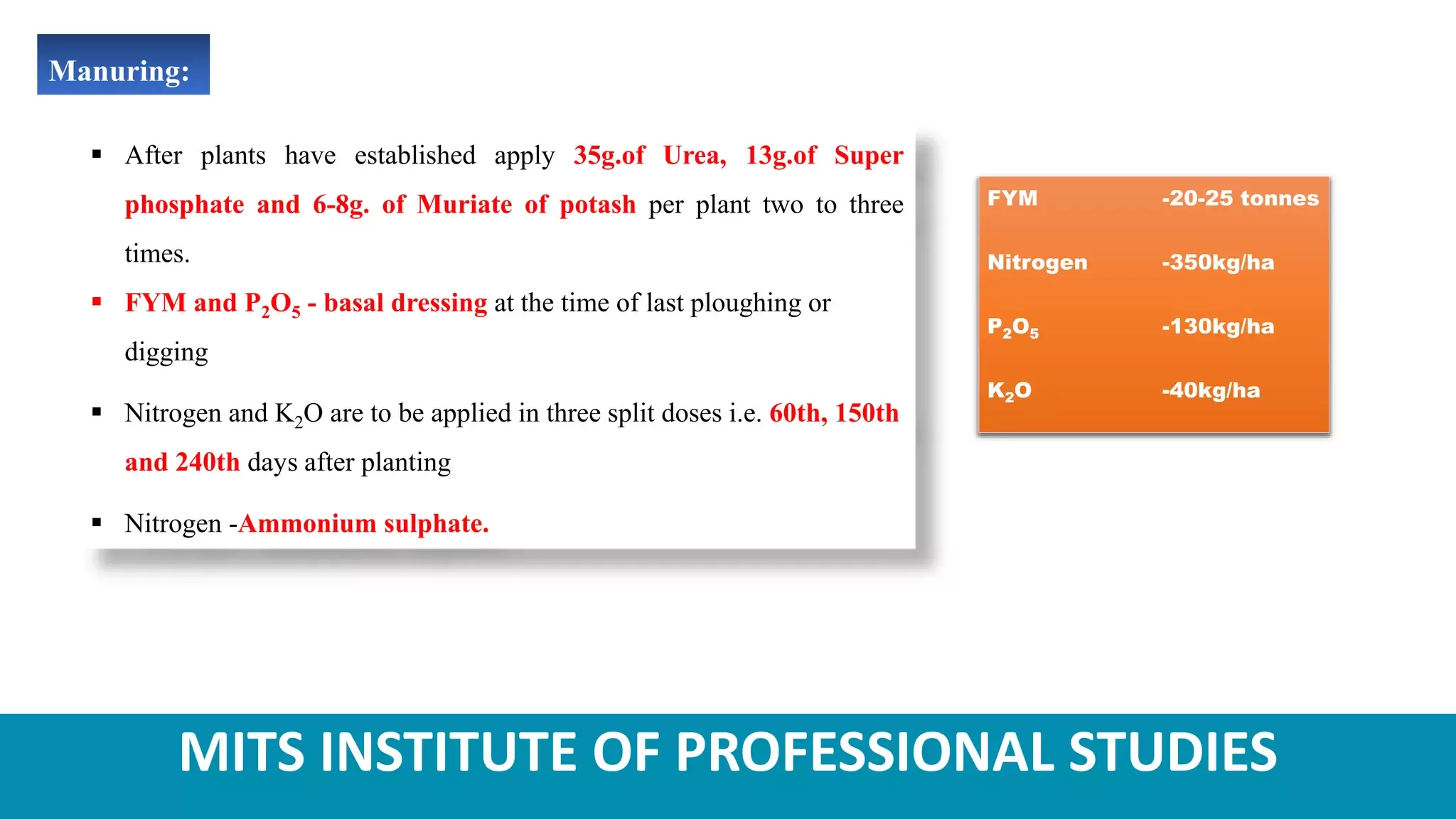Slide 10