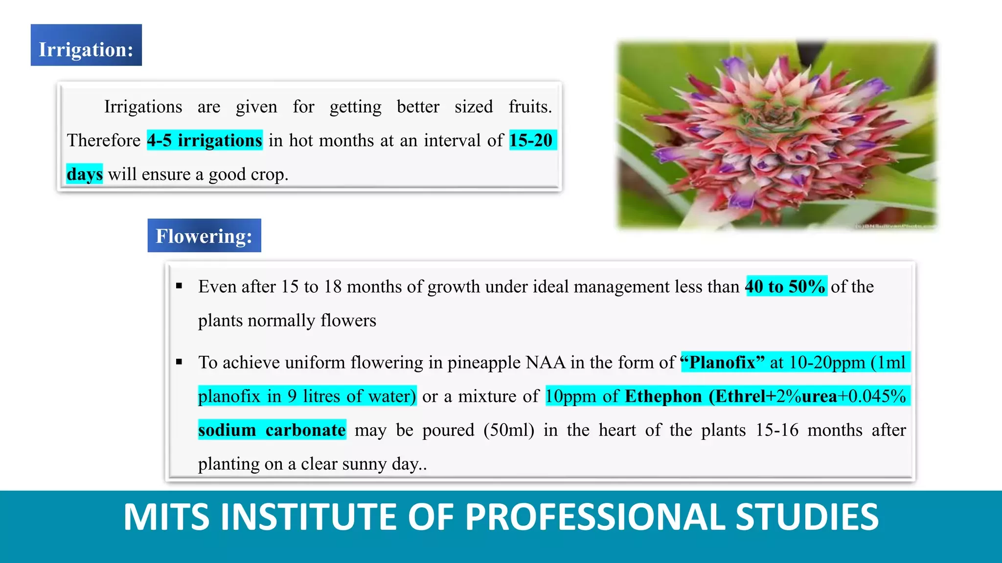 Slide 11