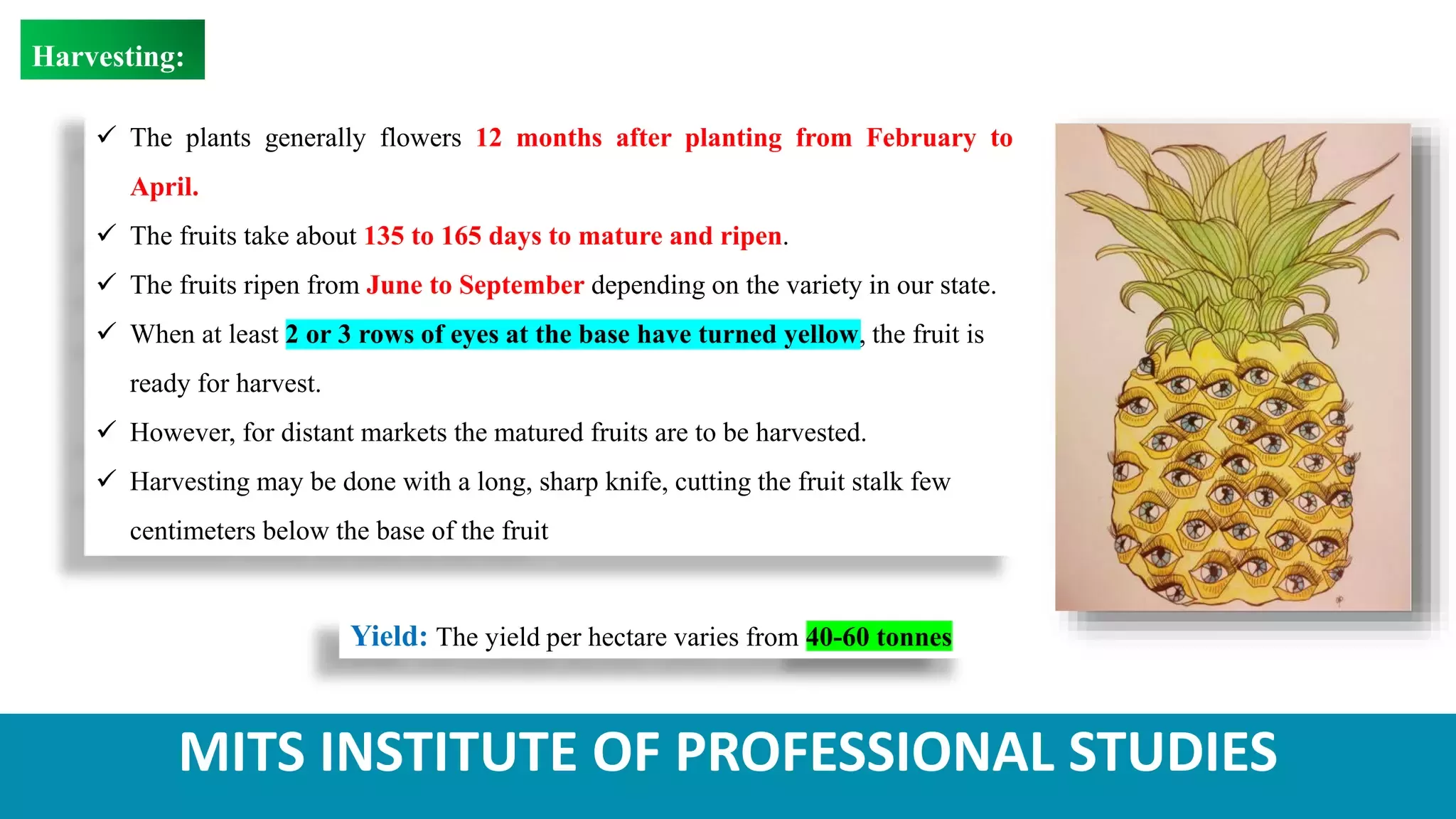 Slide 12