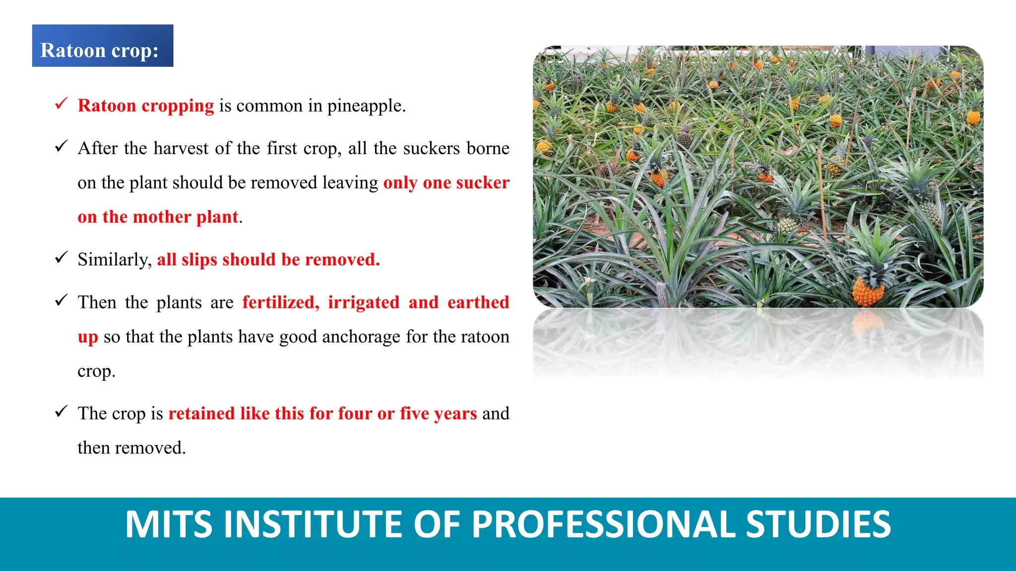 Slide 13