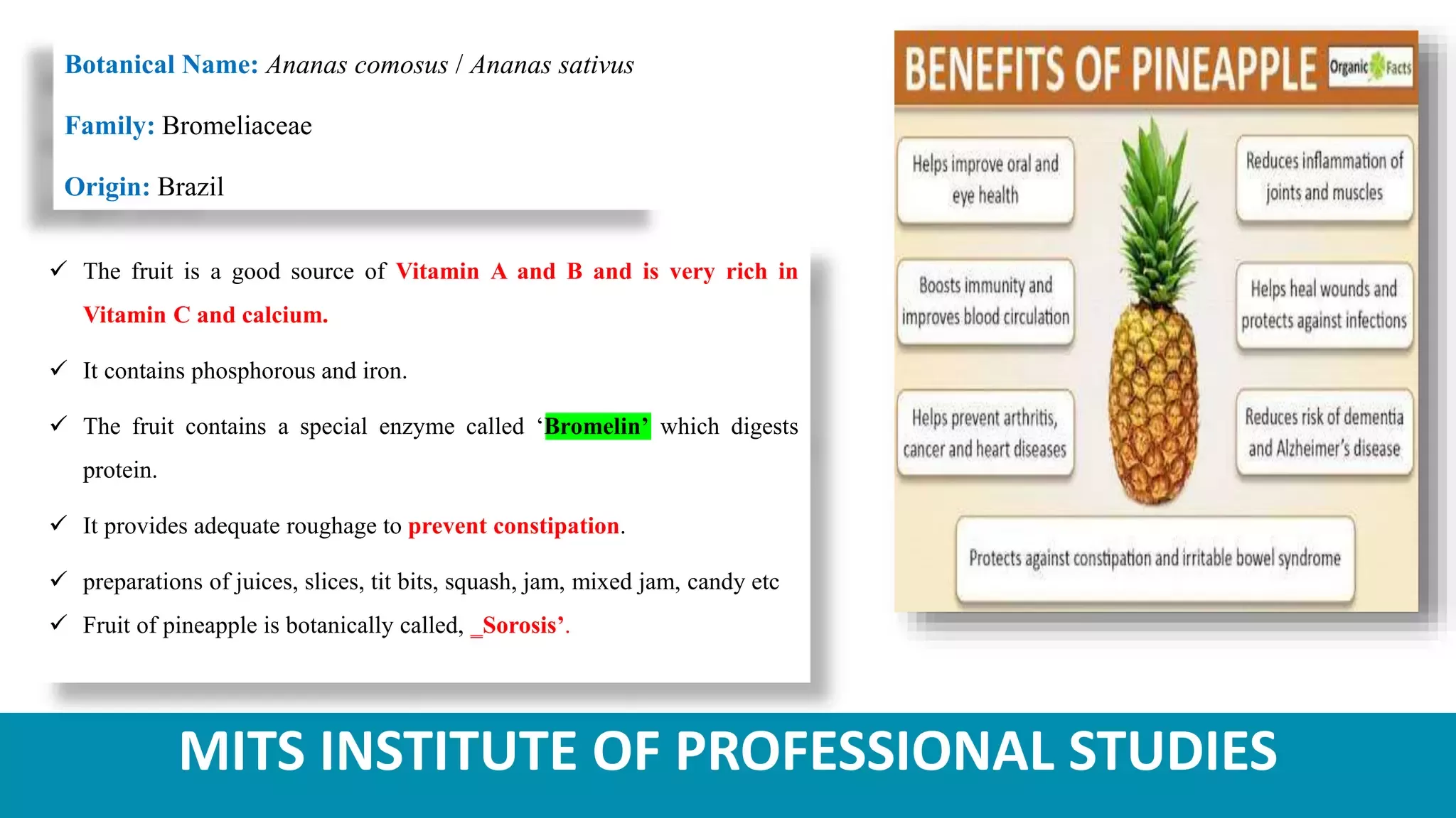 Slide 1