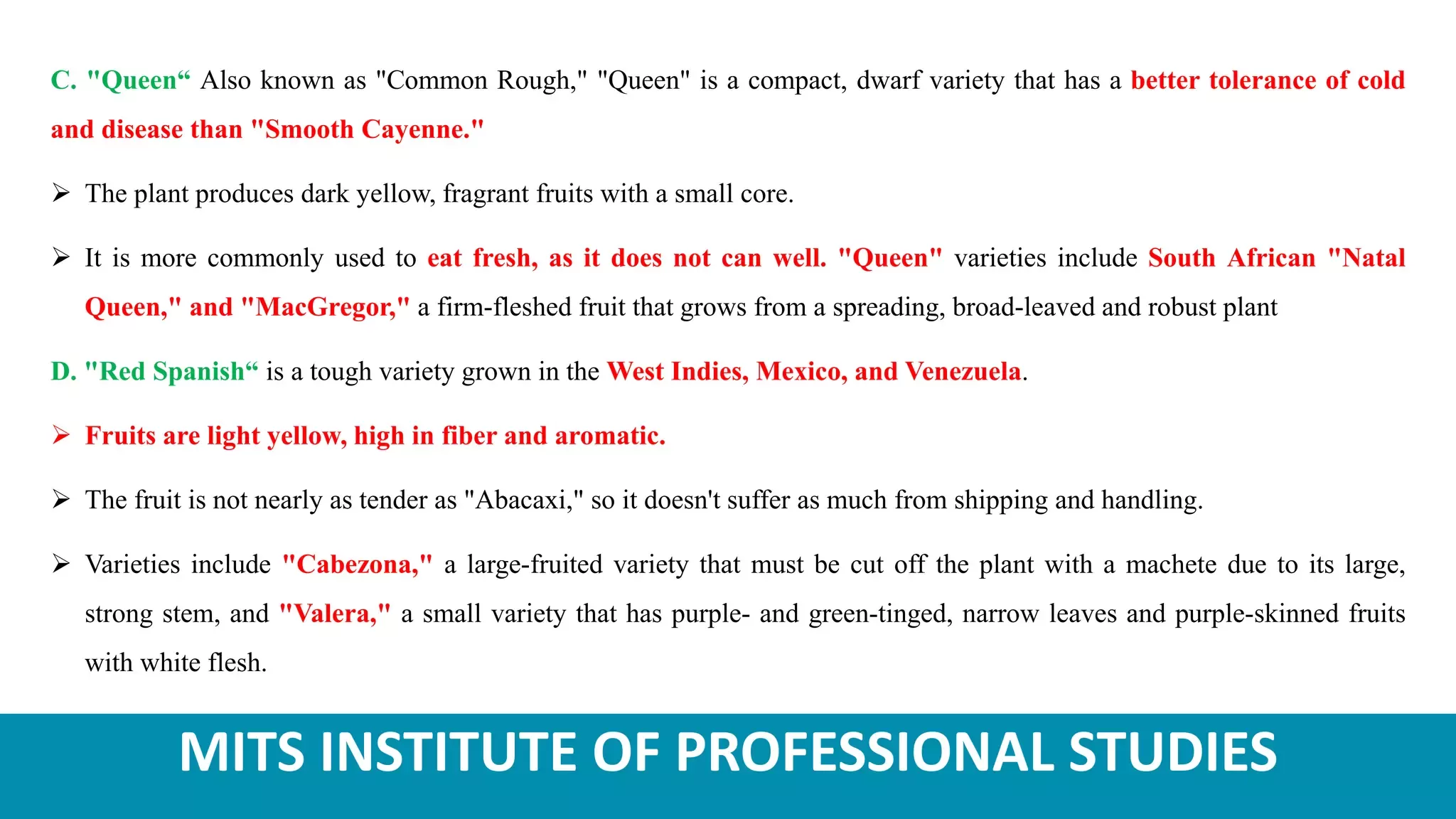 Slide 5