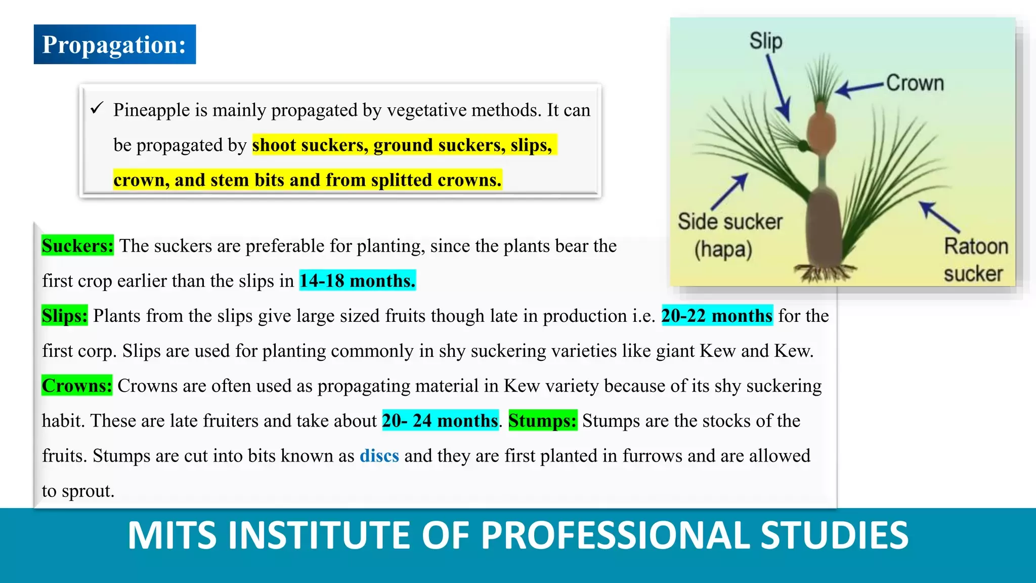 Slide 6