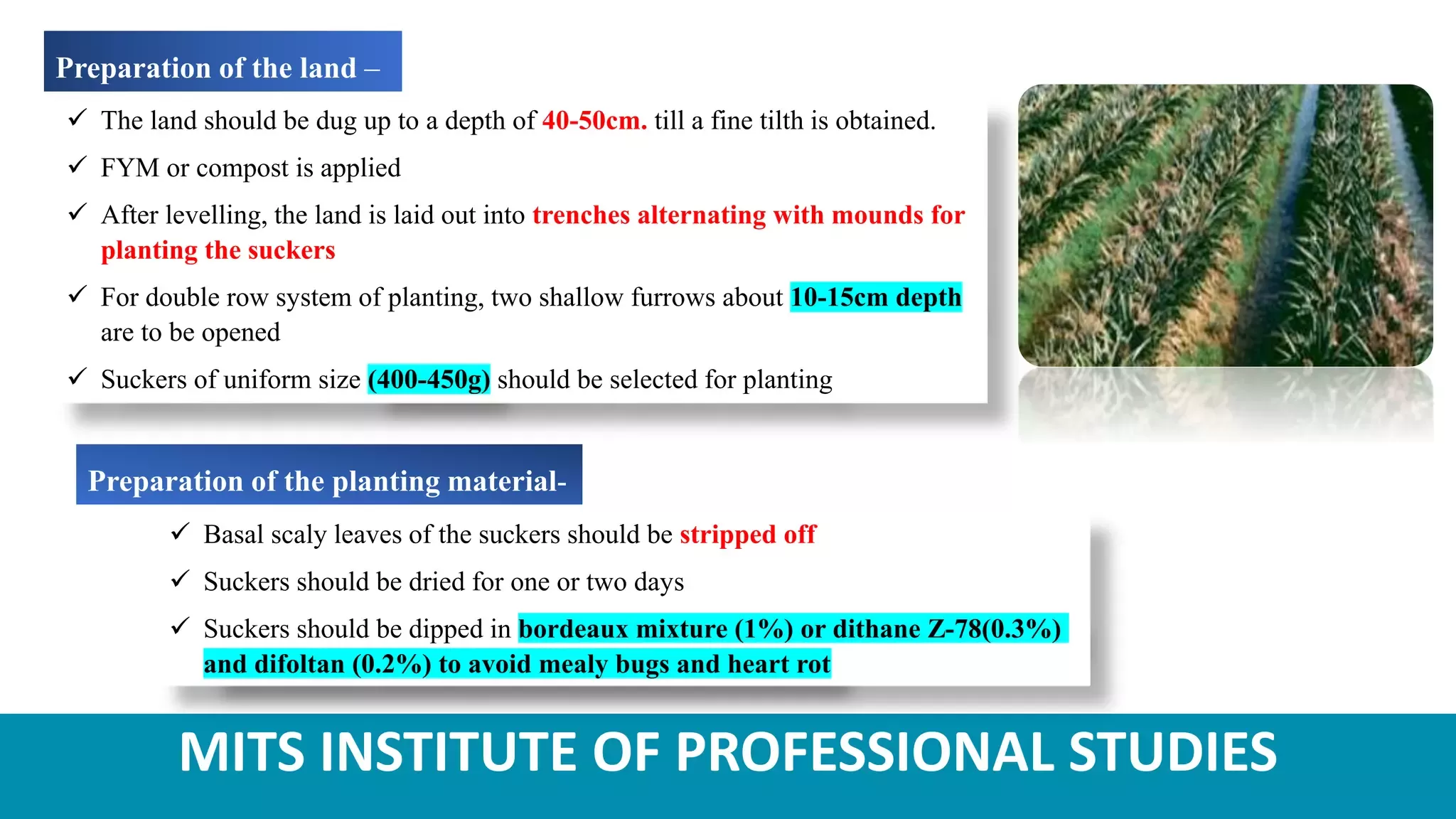 Slide 7