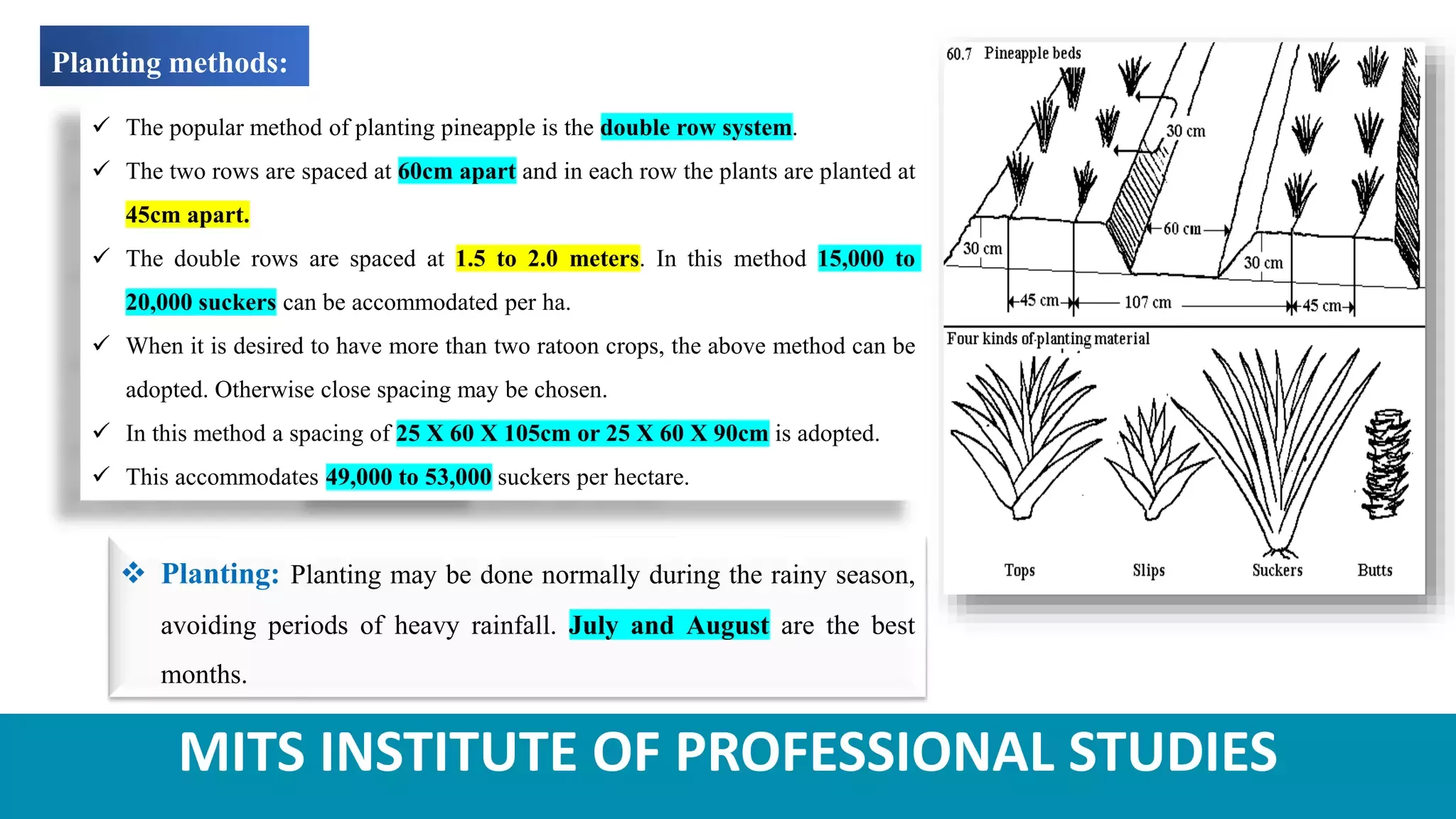 Slide 8