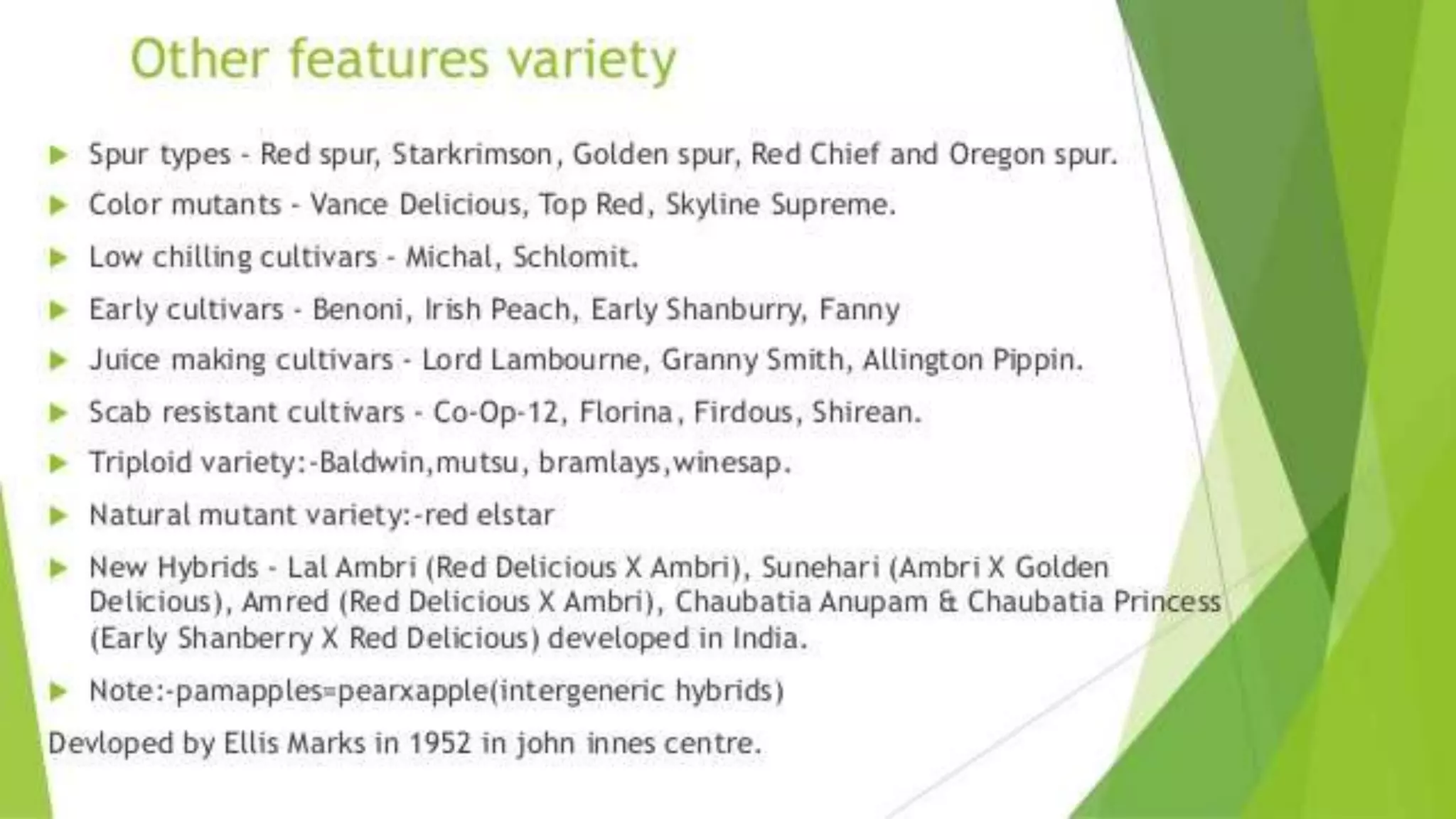 Slide 10