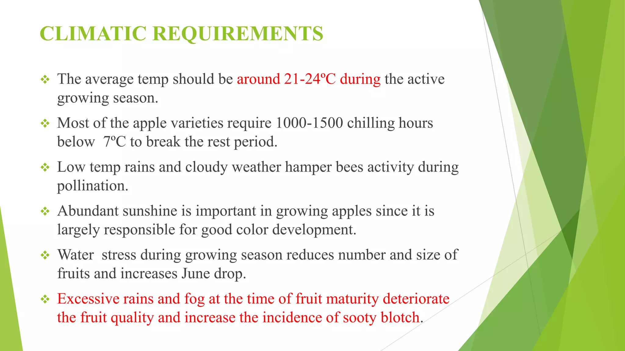 Slide 13