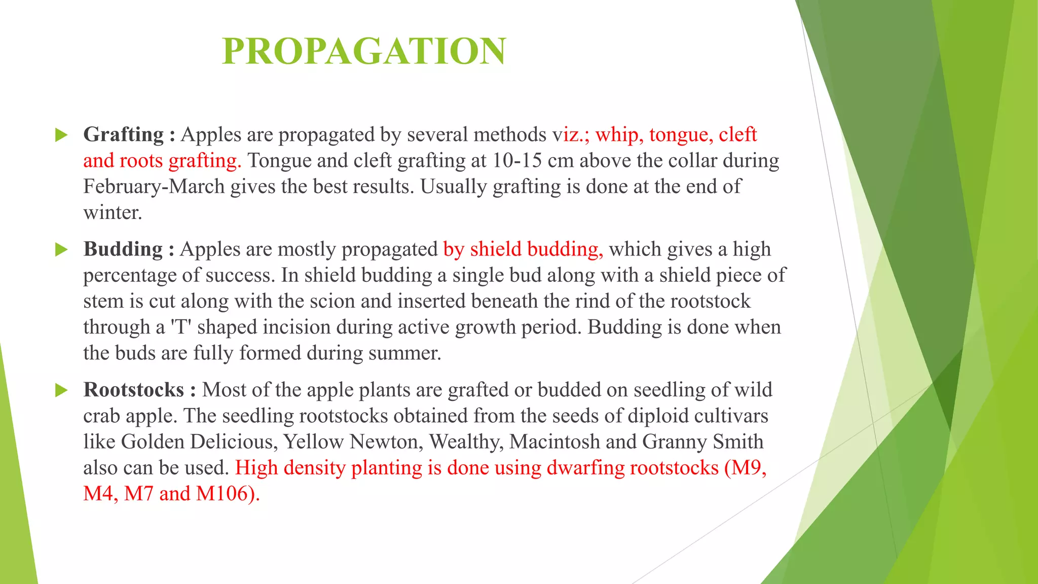 Slide 15