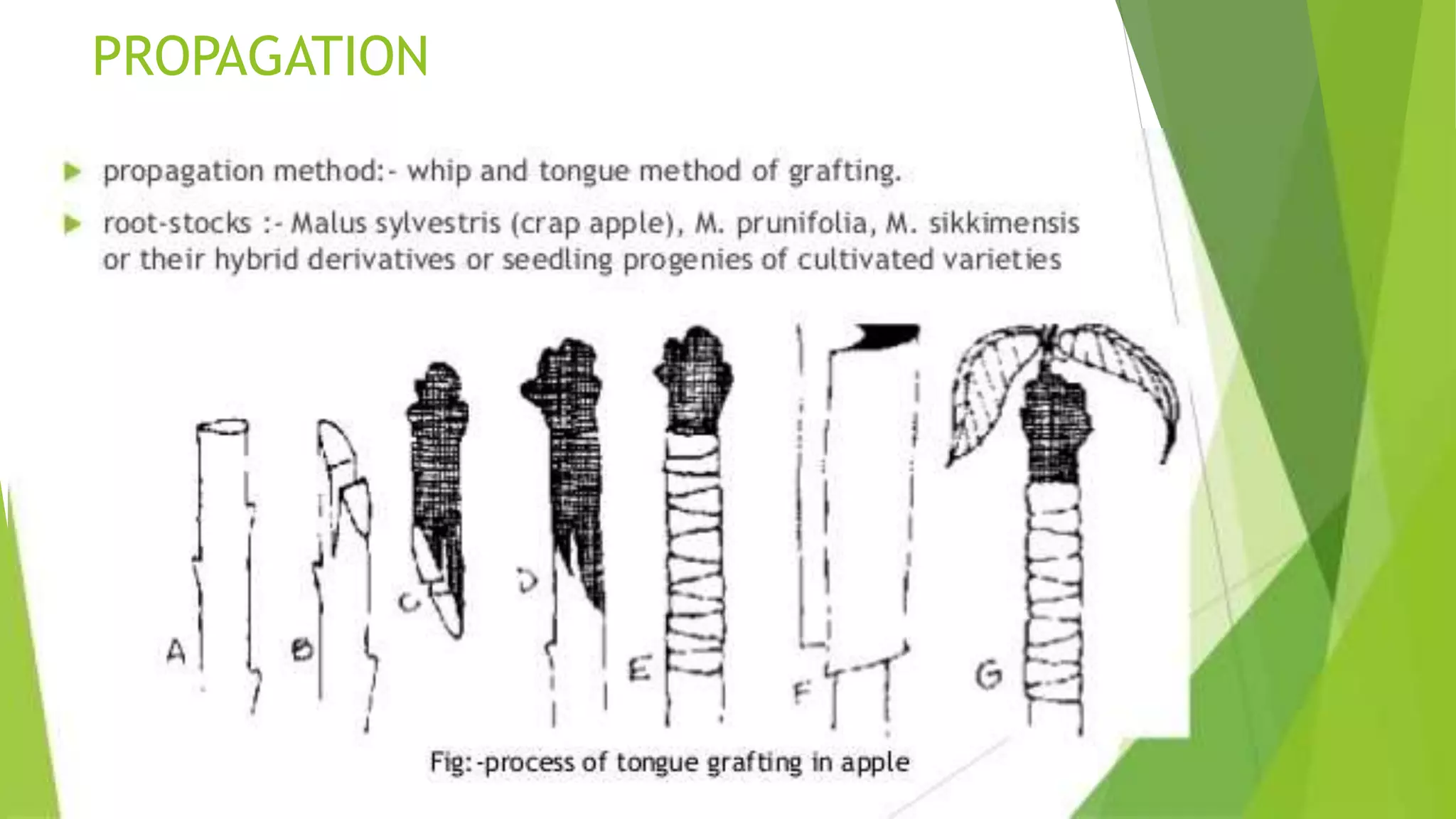 Slide 16