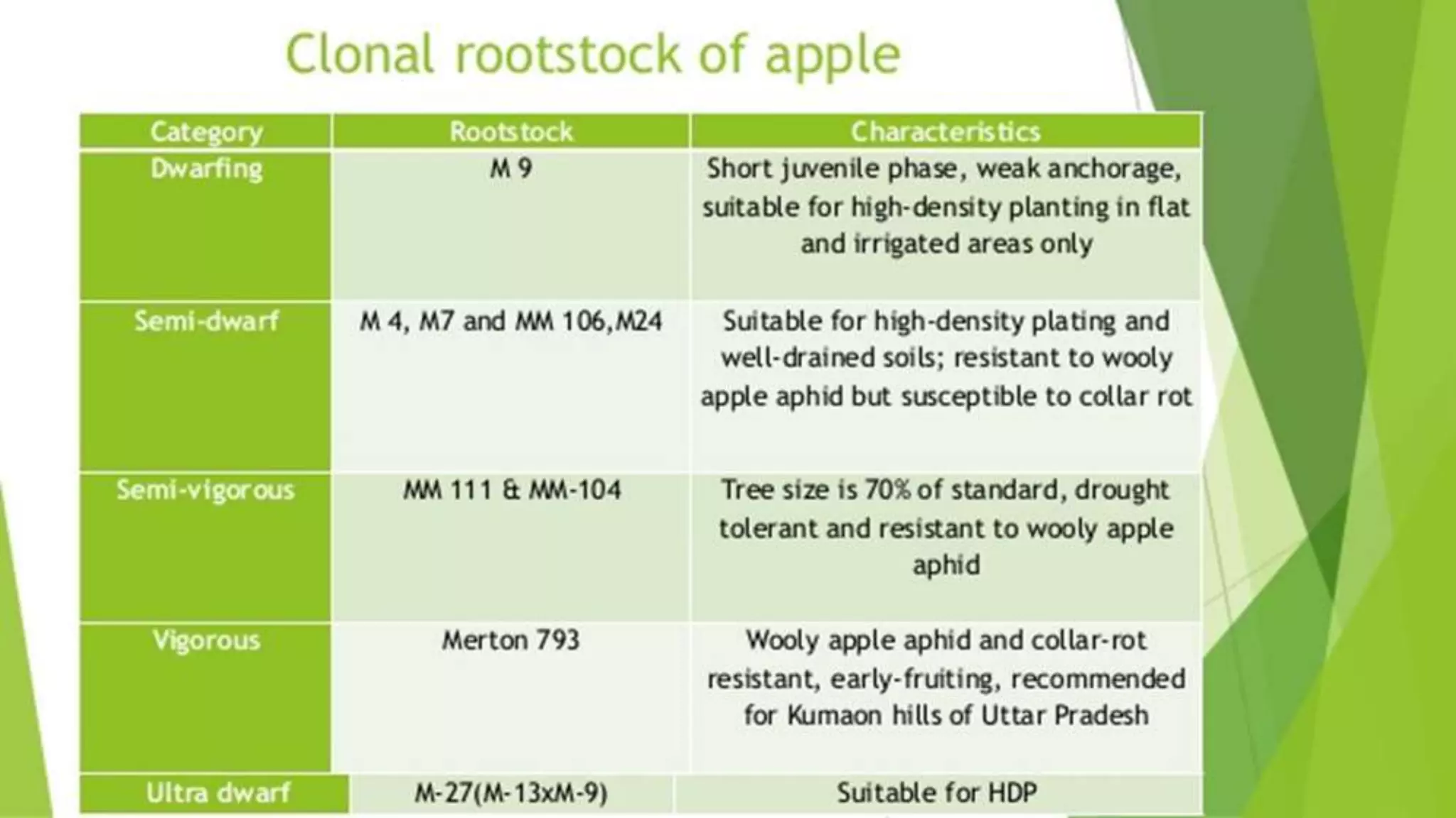 Slide 17