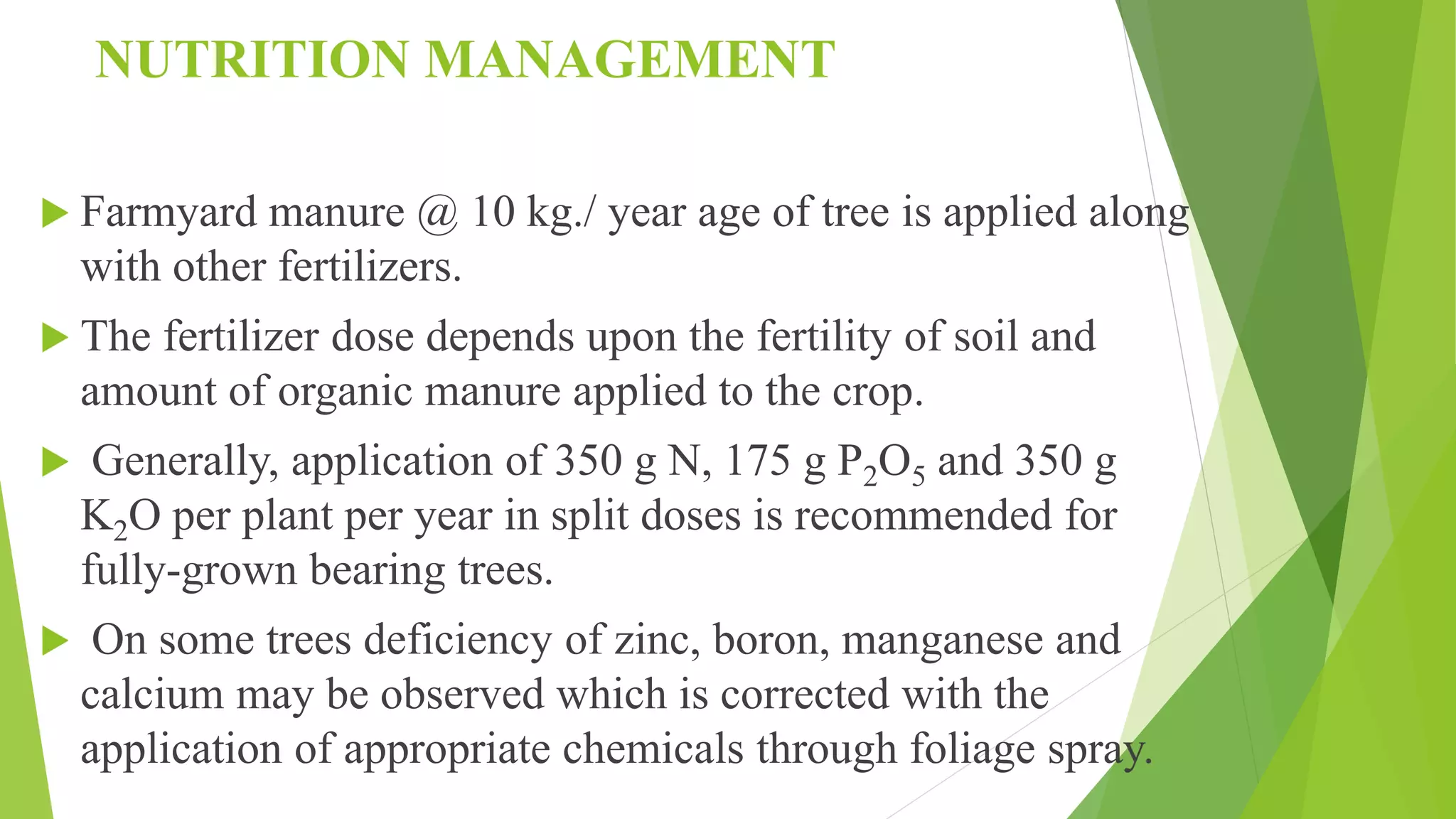 Slide 20