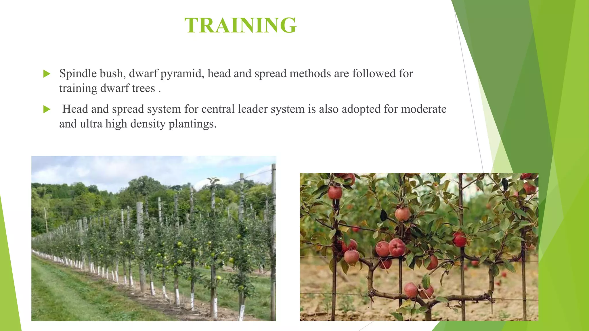 Slide 21