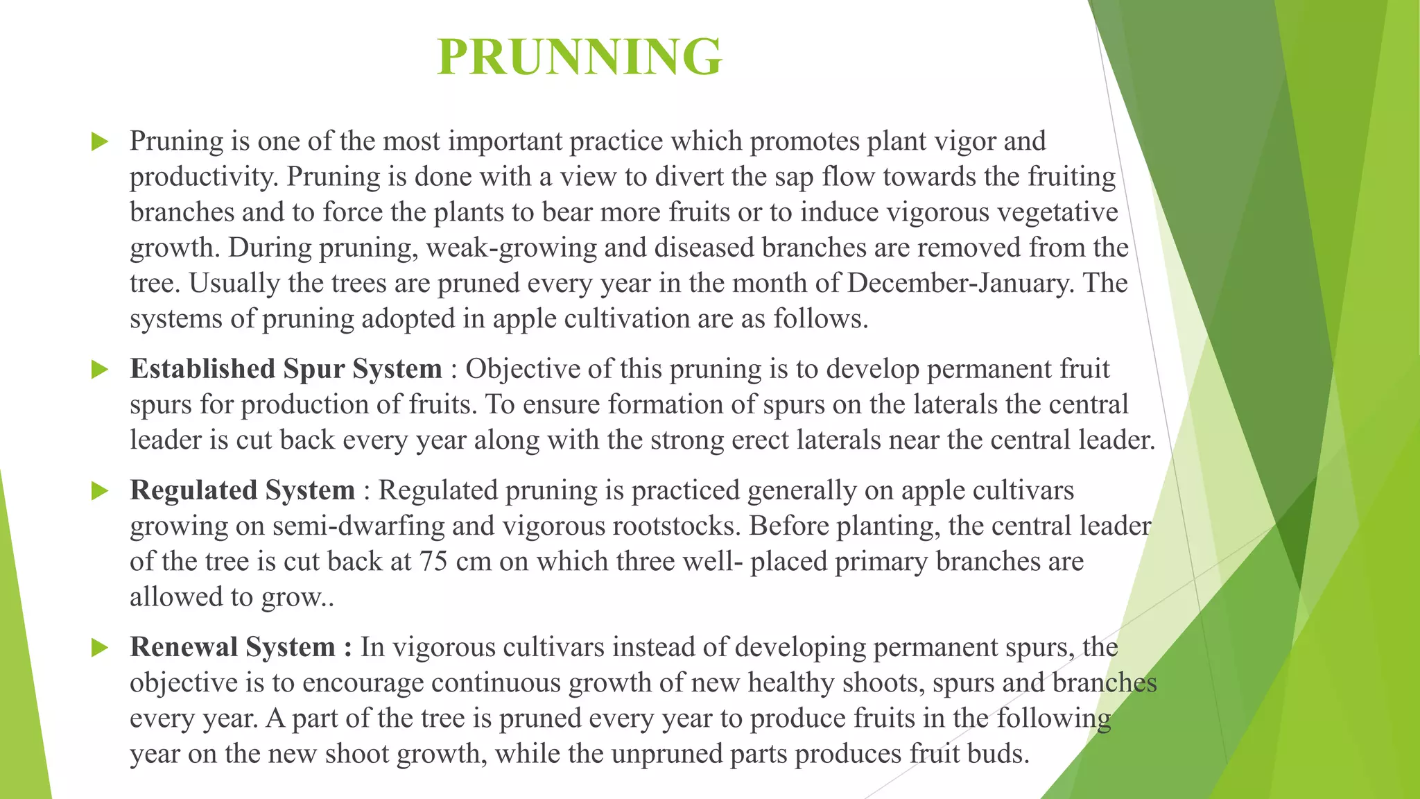 Slide 23