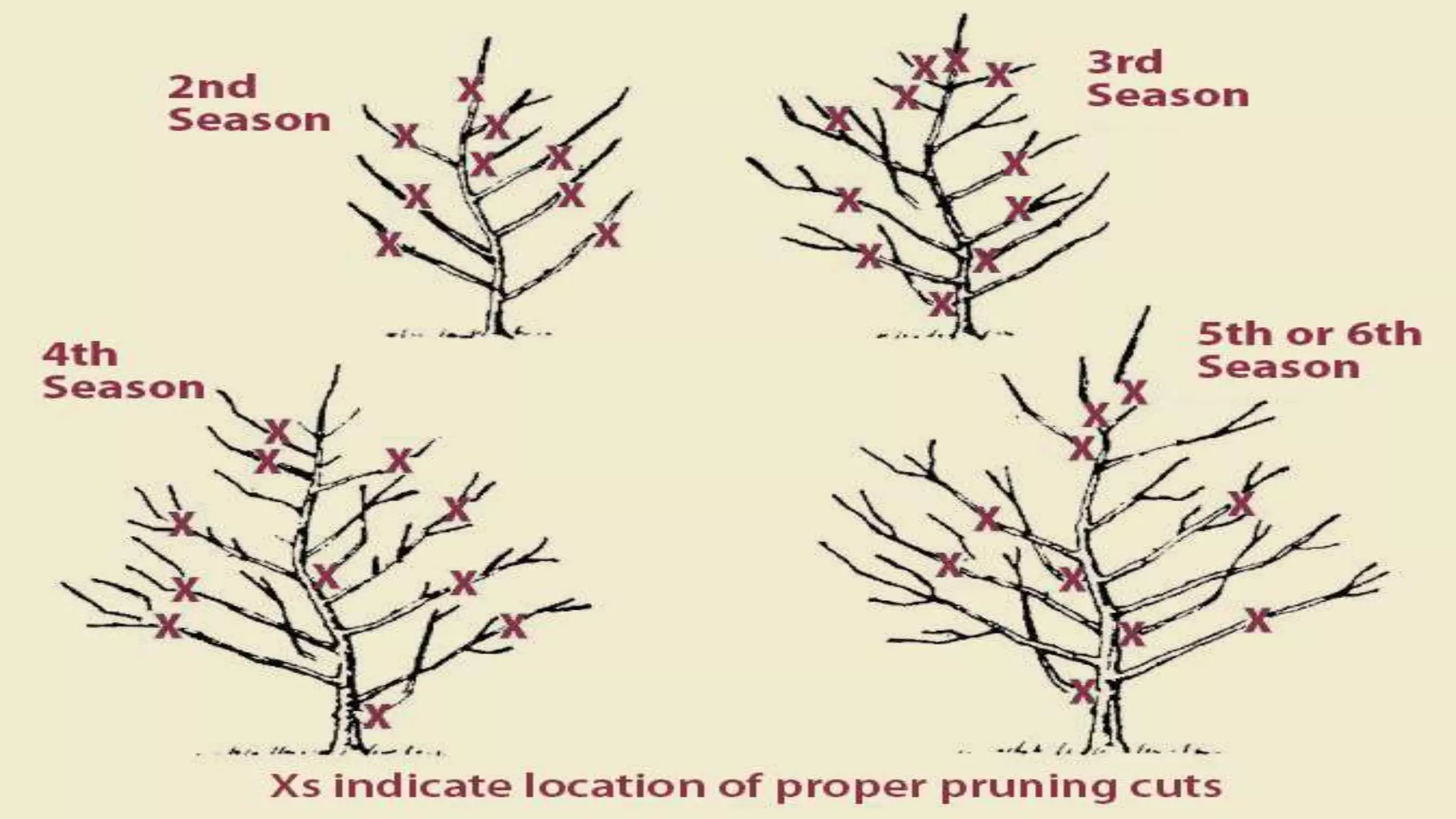 Slide 24