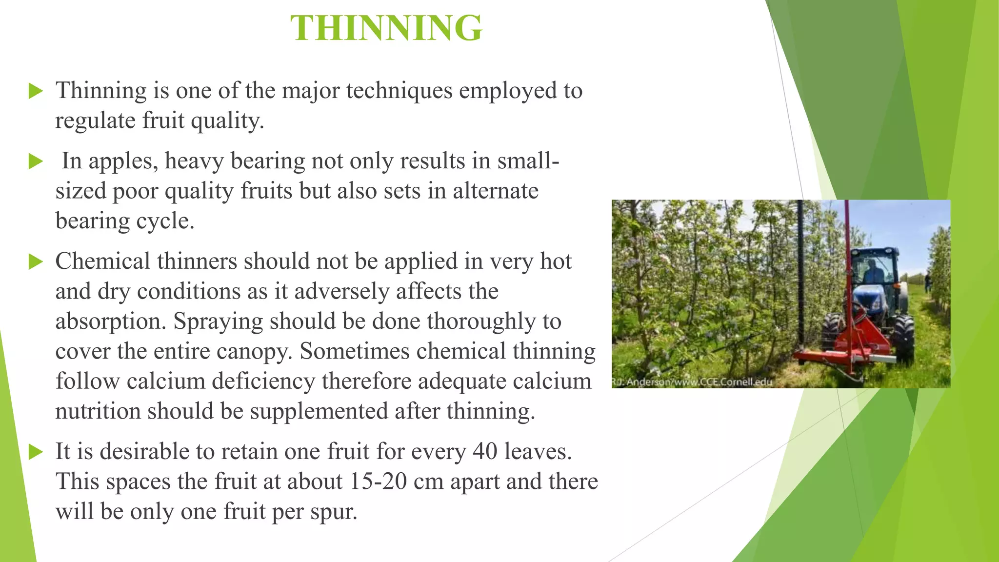 Slide 25