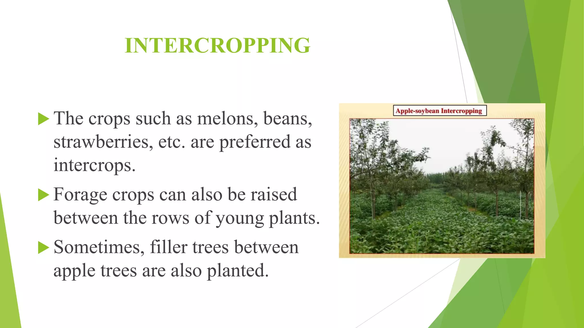 Slide 28