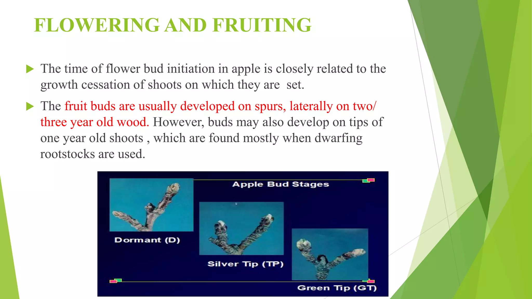 Slide 29