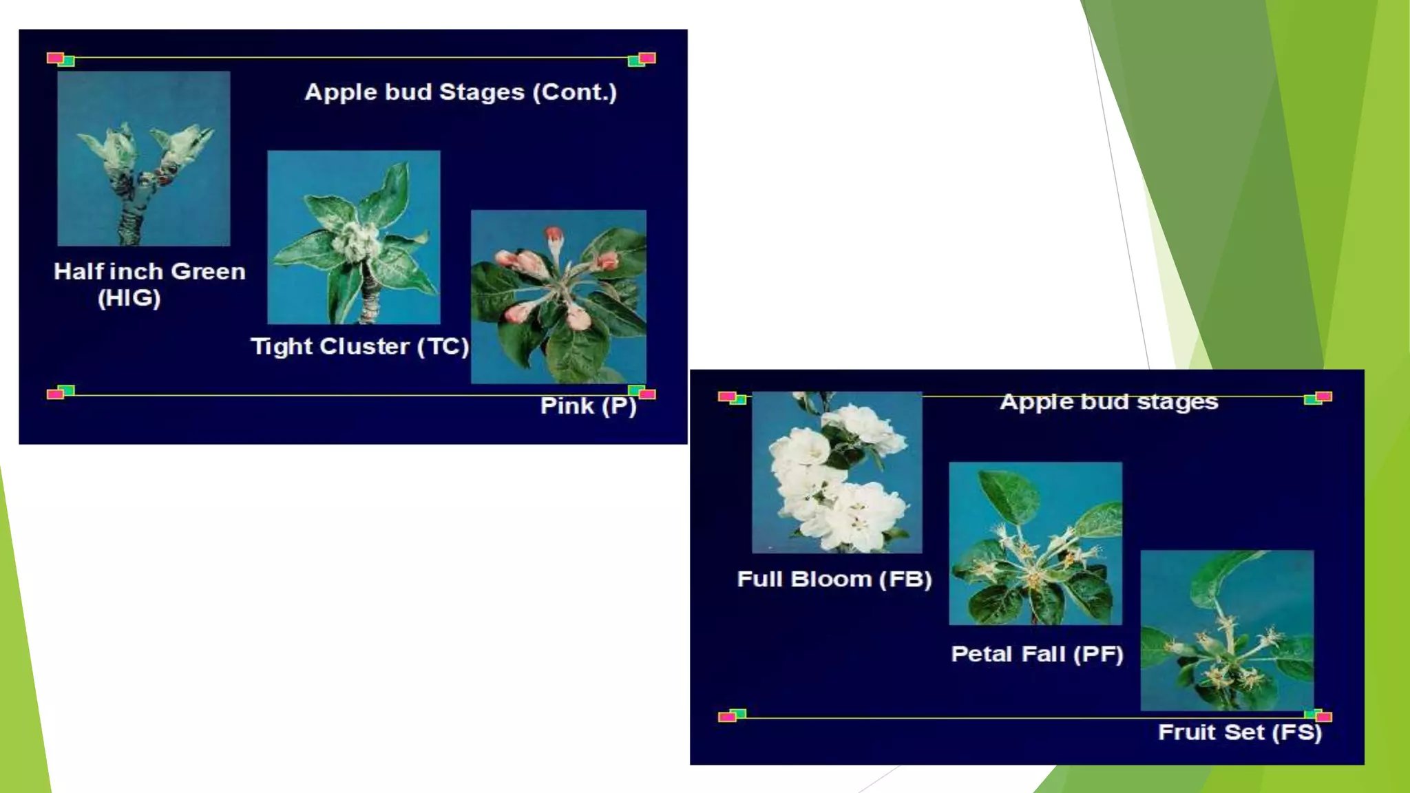 Slide 30