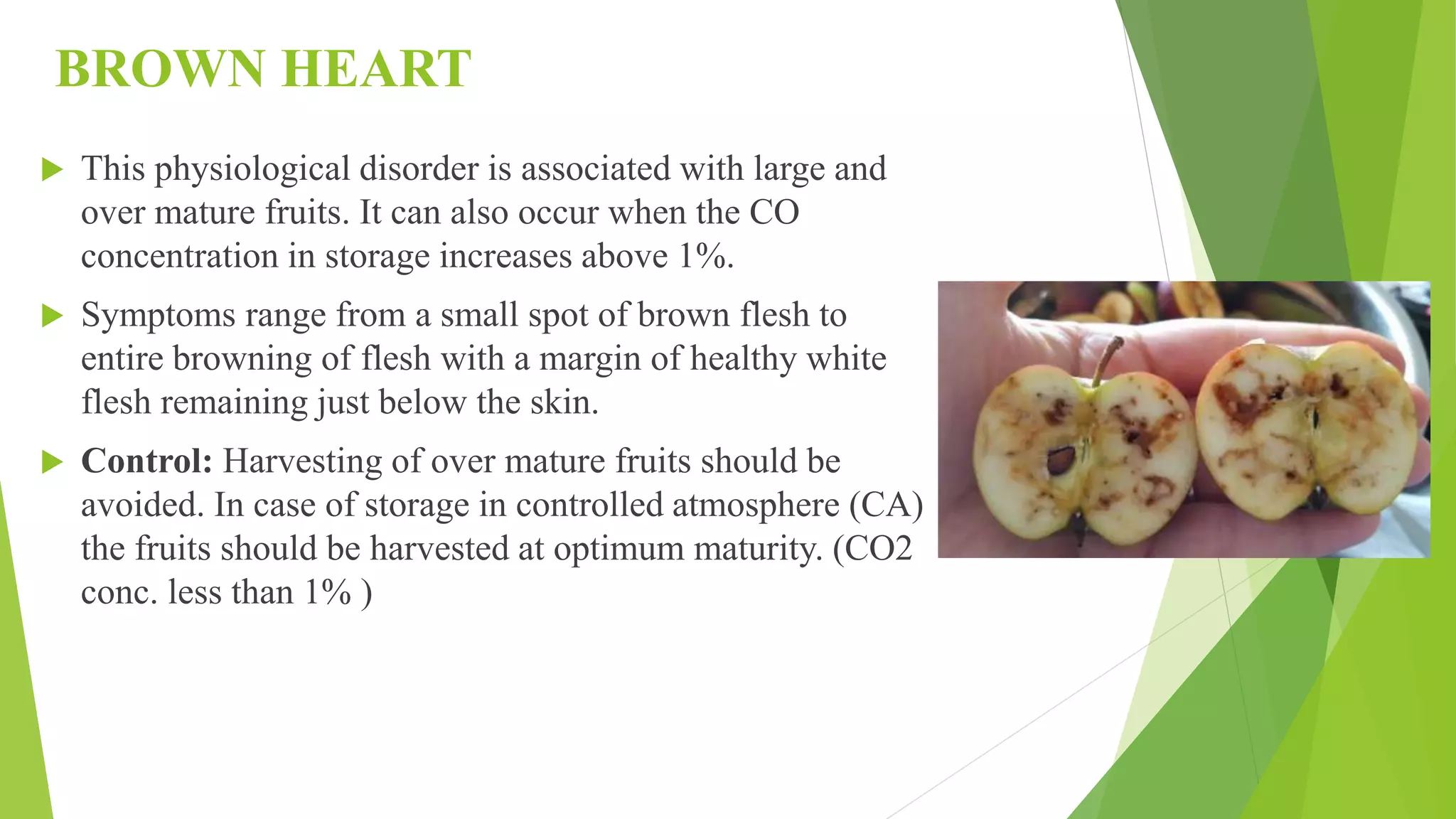 Slide 34