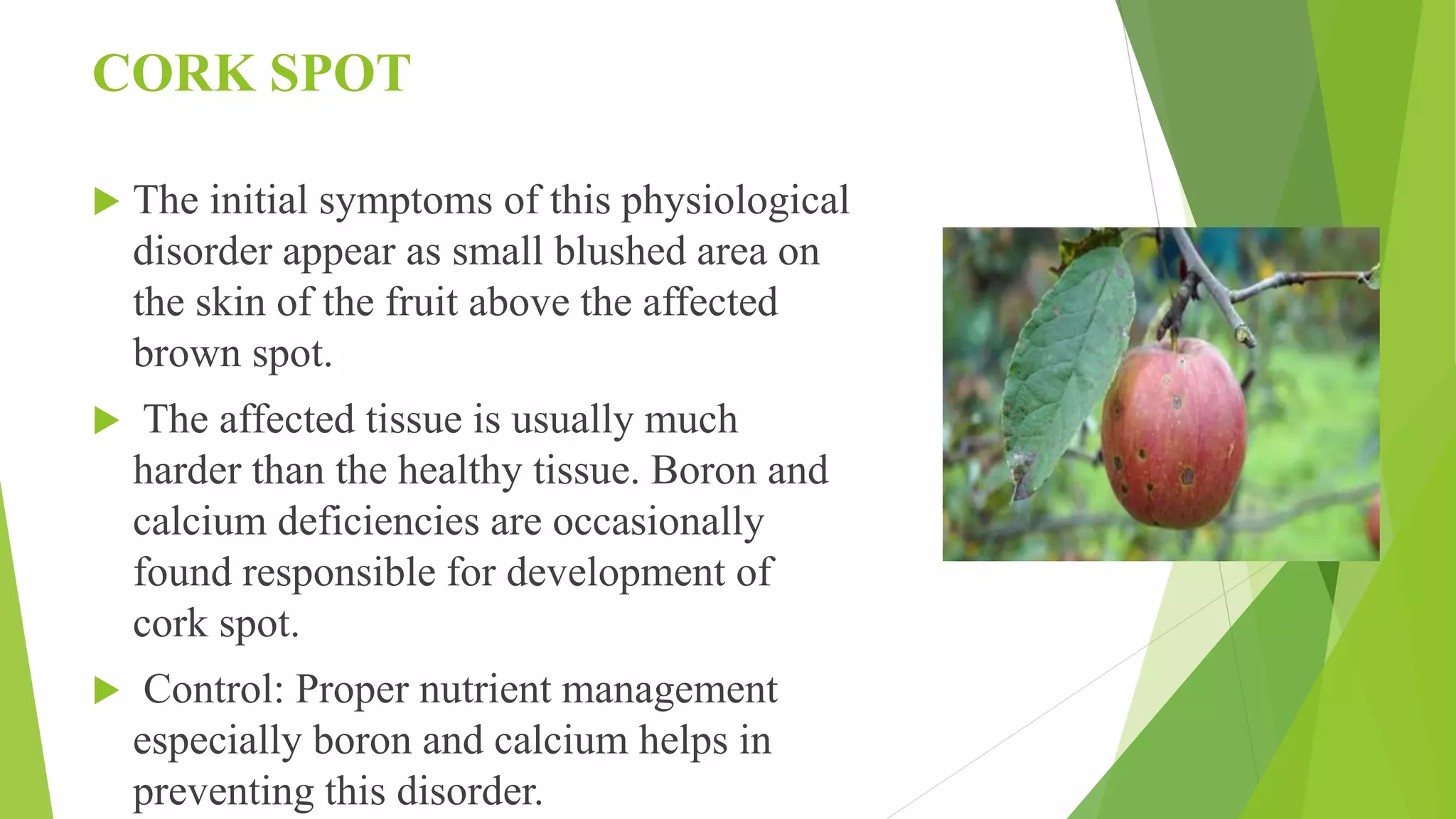 Slide 35