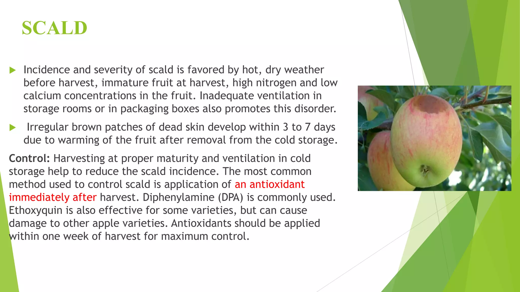 Slide 36