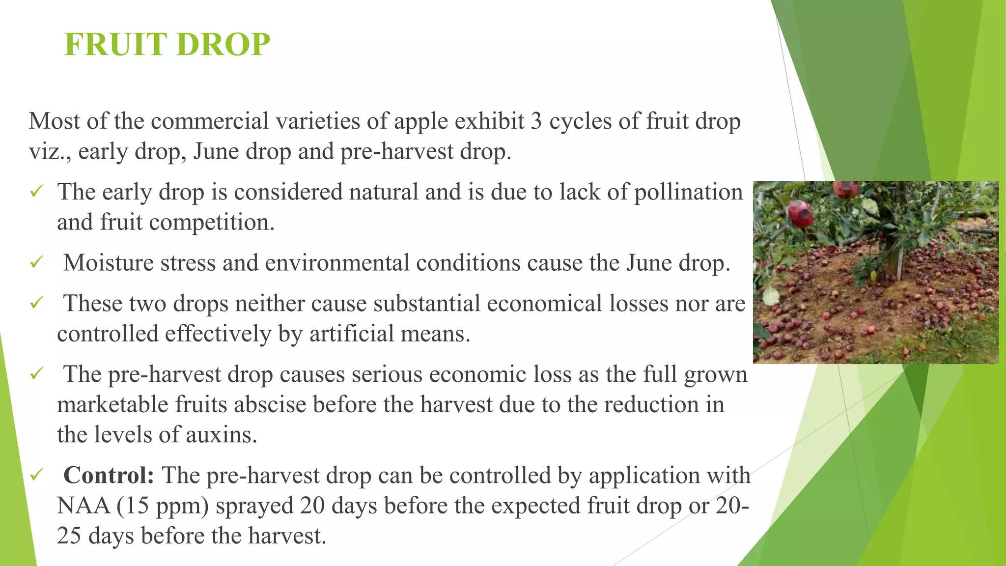 Slide 37
