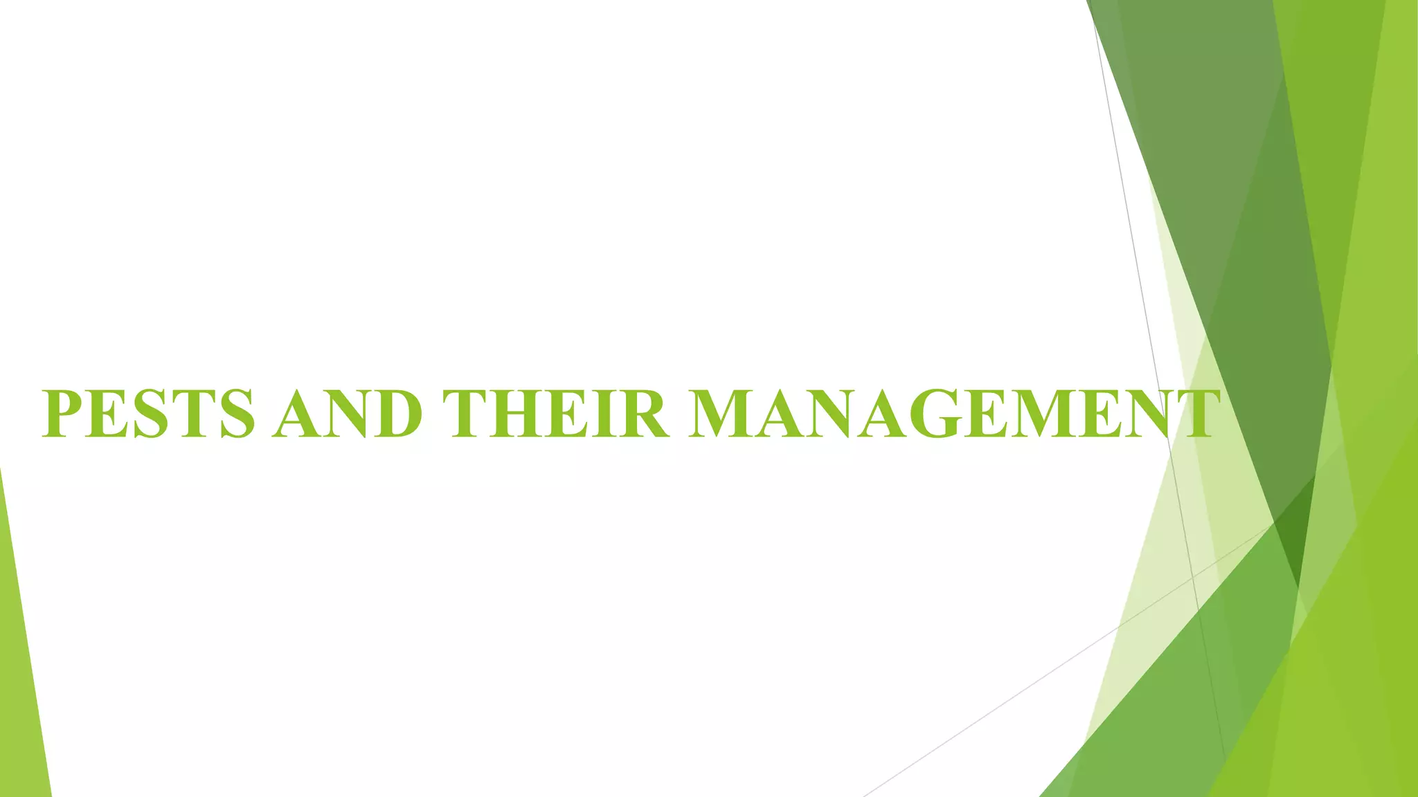 Slide 38