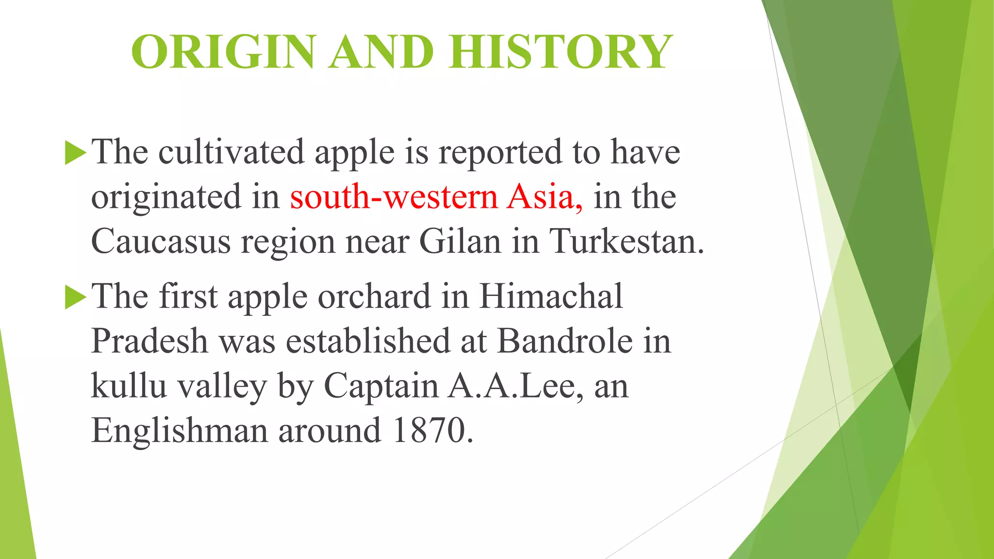 Slide 3
