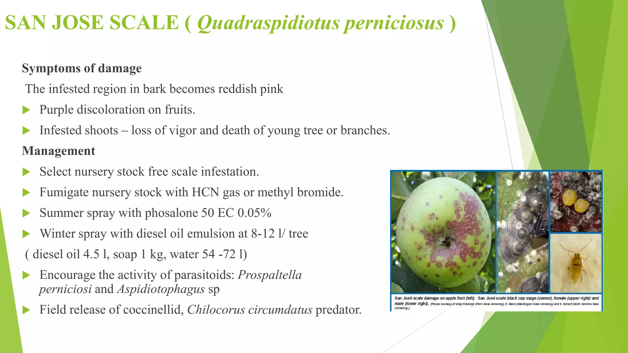 Slide 39