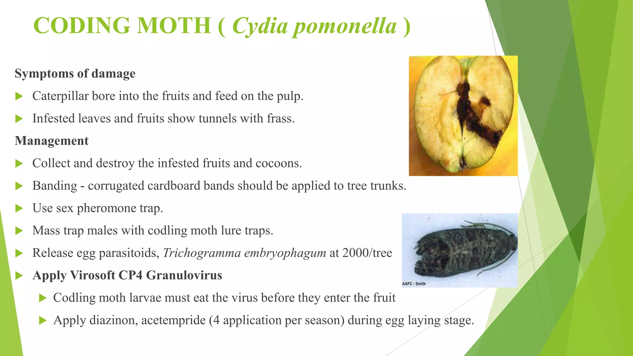 Slide 40