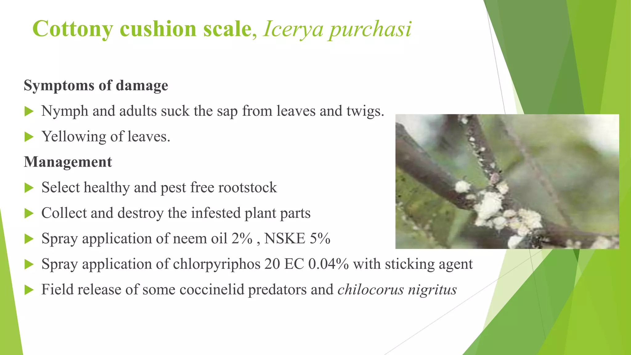 Slide 41