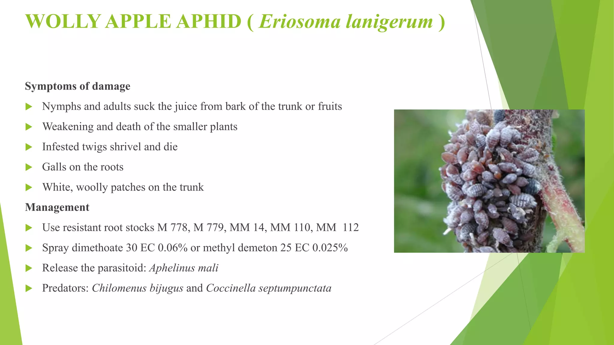 Slide 43