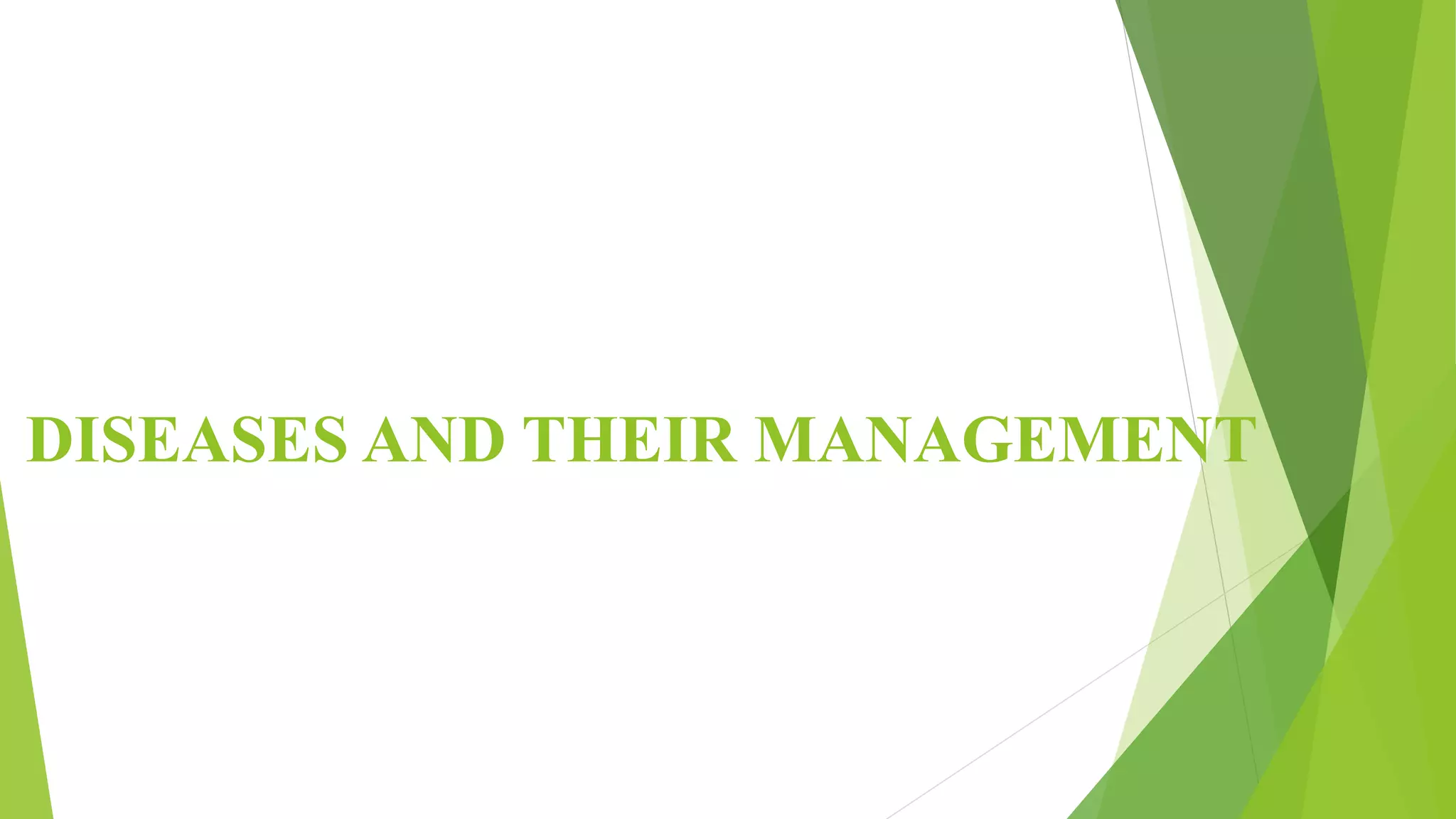Slide 44