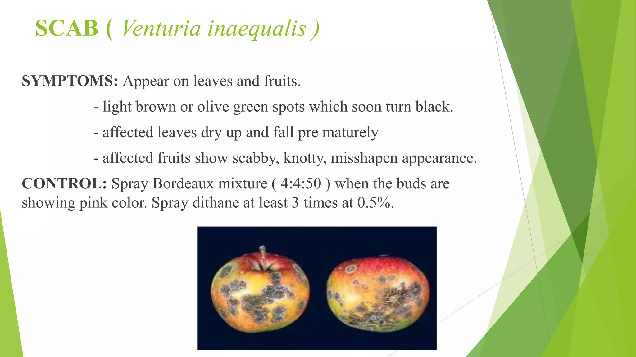 Slide 45