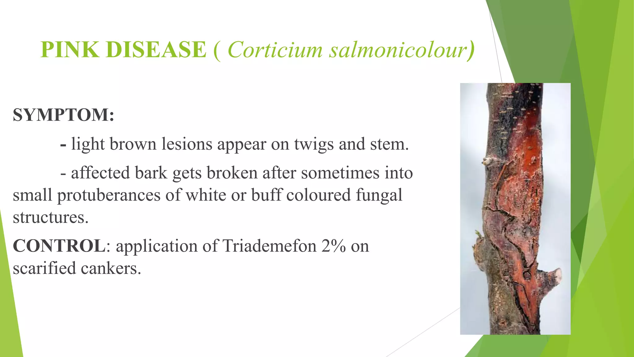 Slide 47