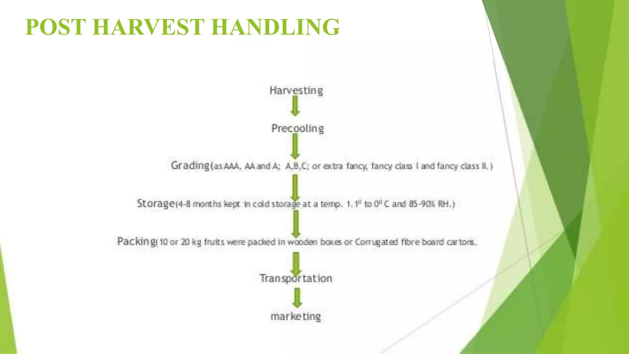 Slide 50