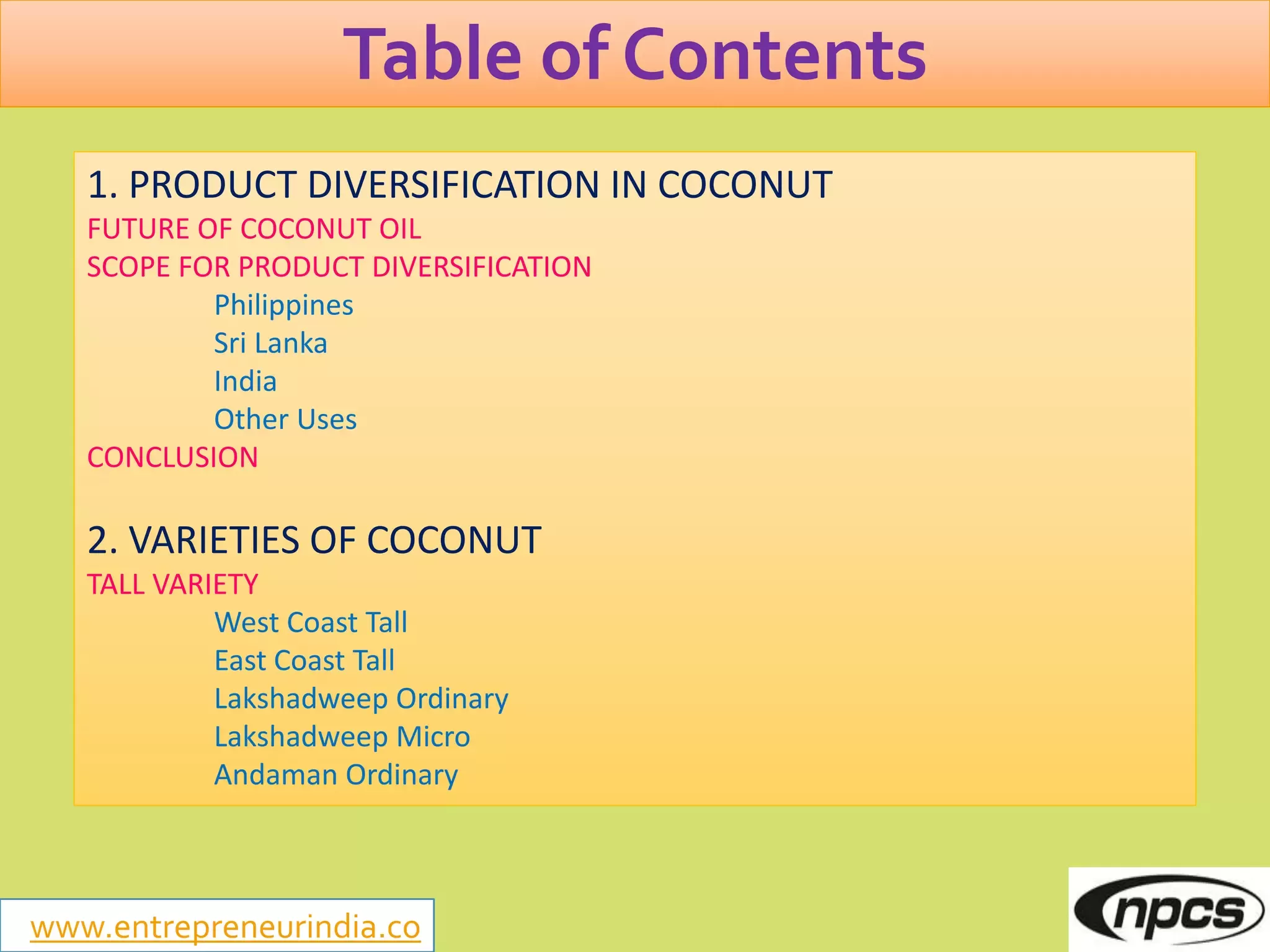 Slide 11