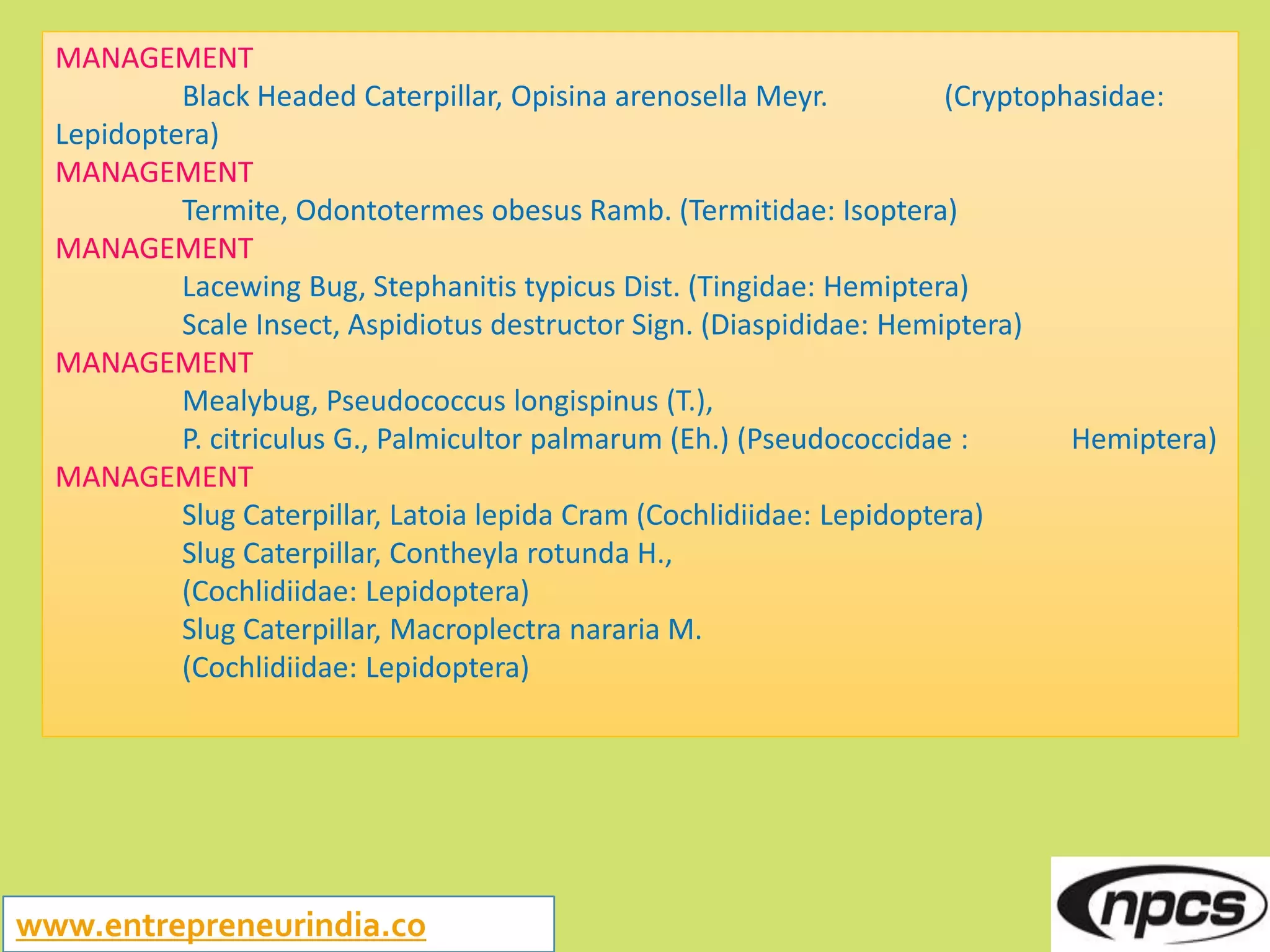 Slide 18