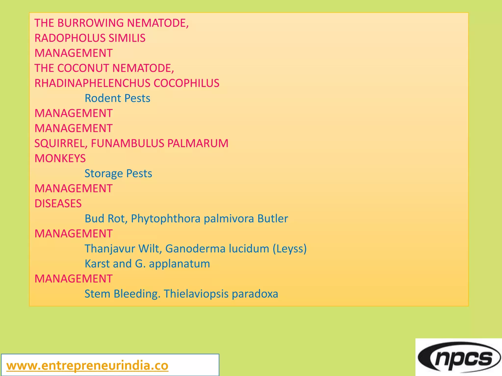 Slide 21