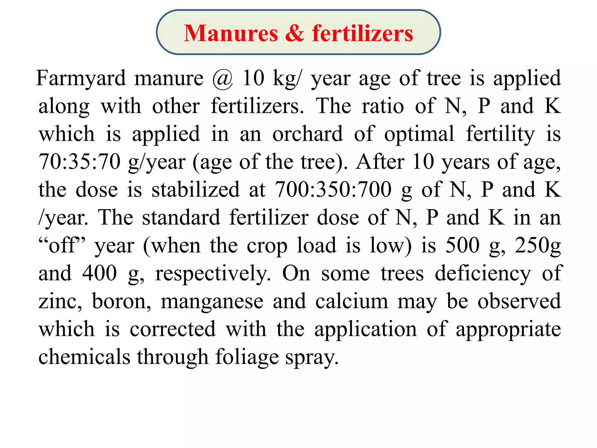 Slide 11