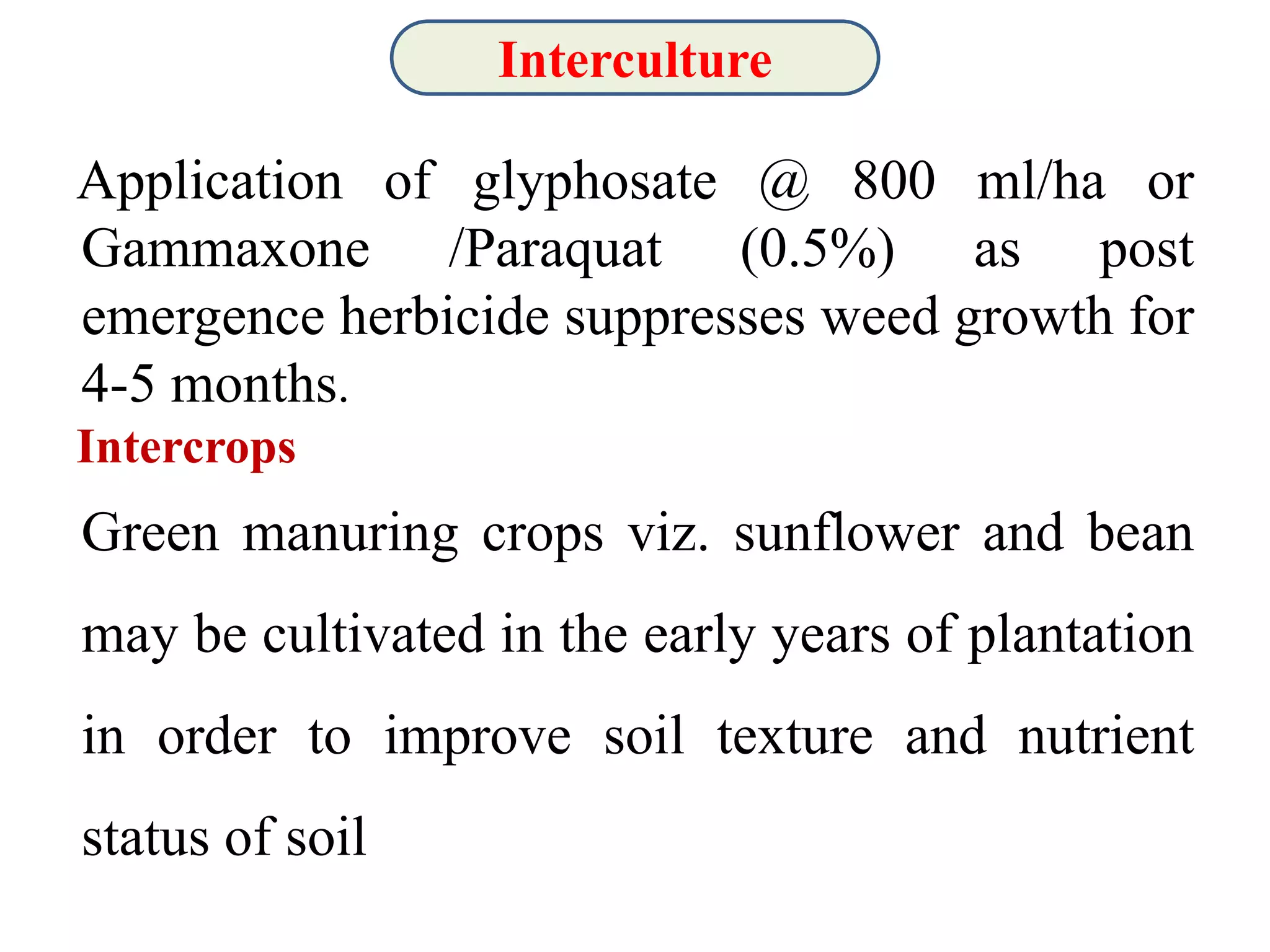 Slide 12