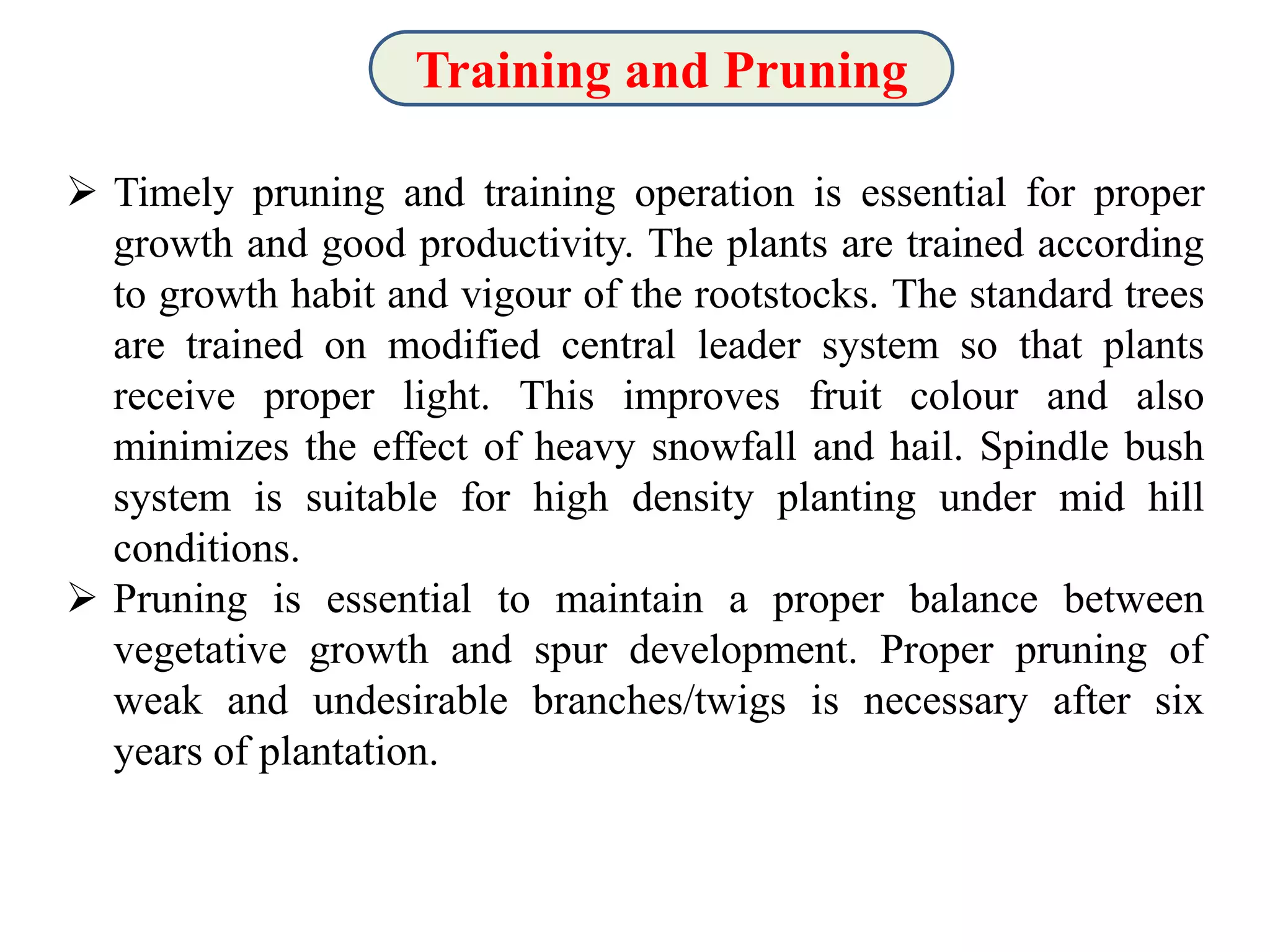 Slide 13
