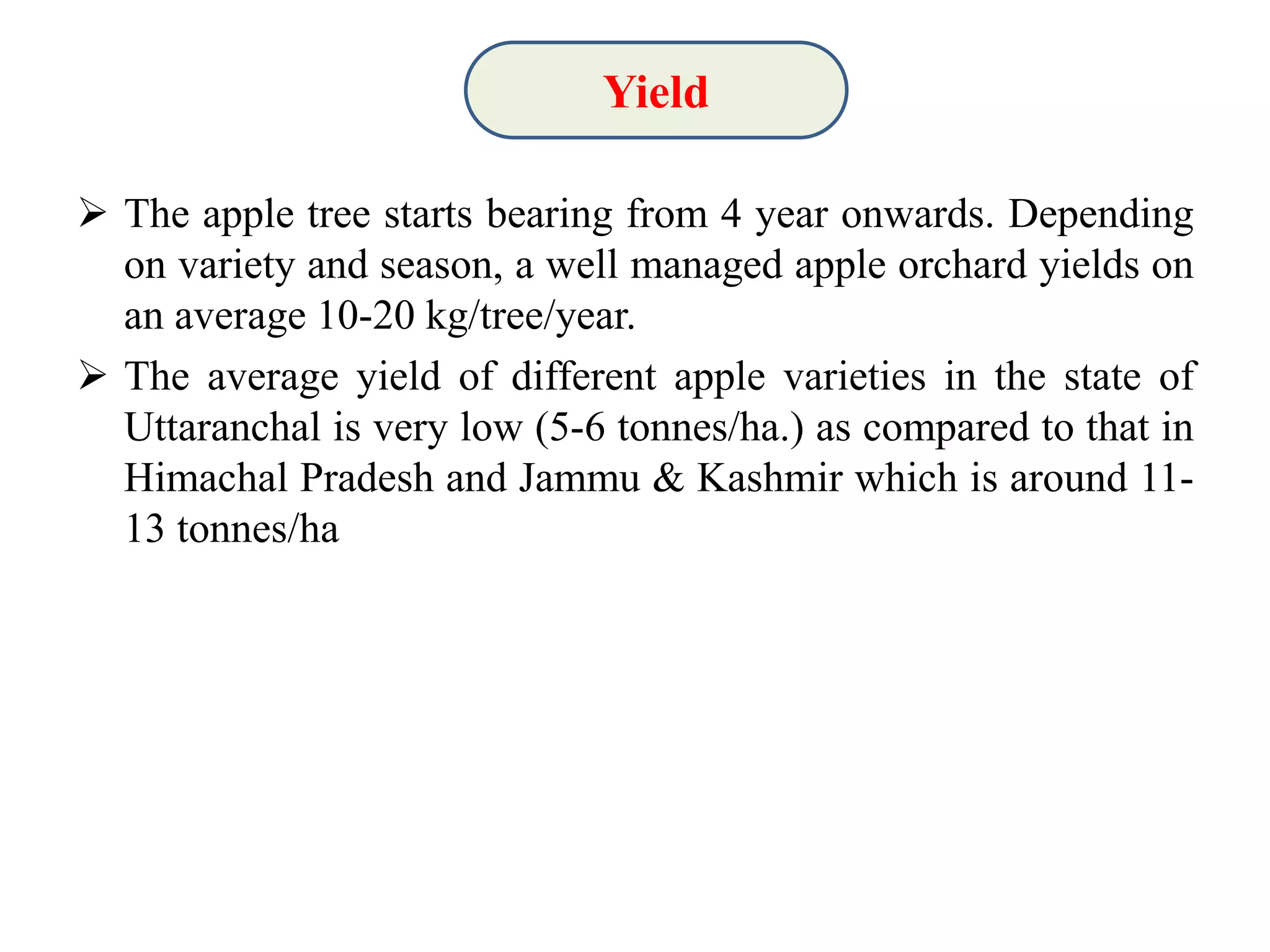 Slide 15