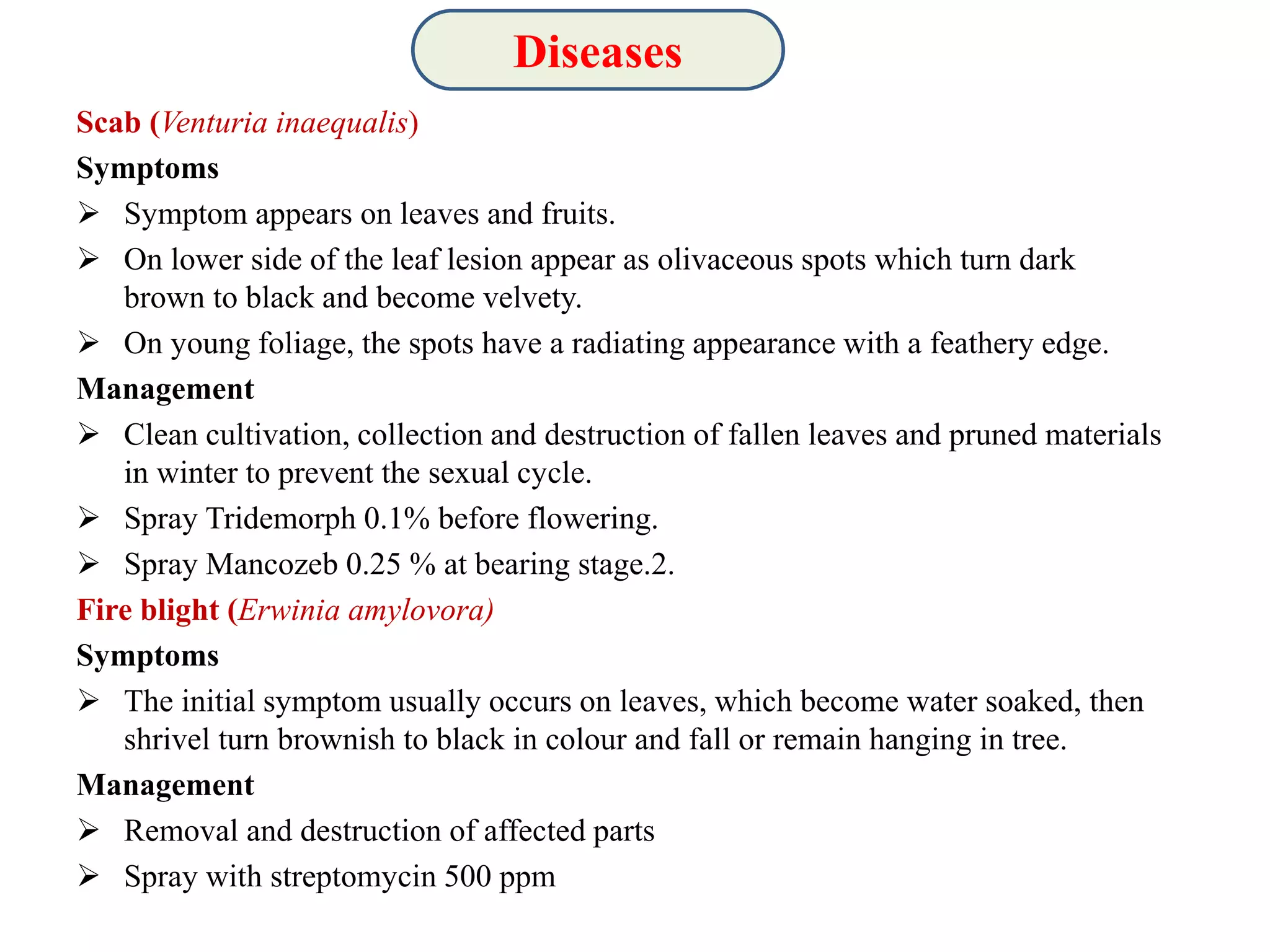 Slide 17