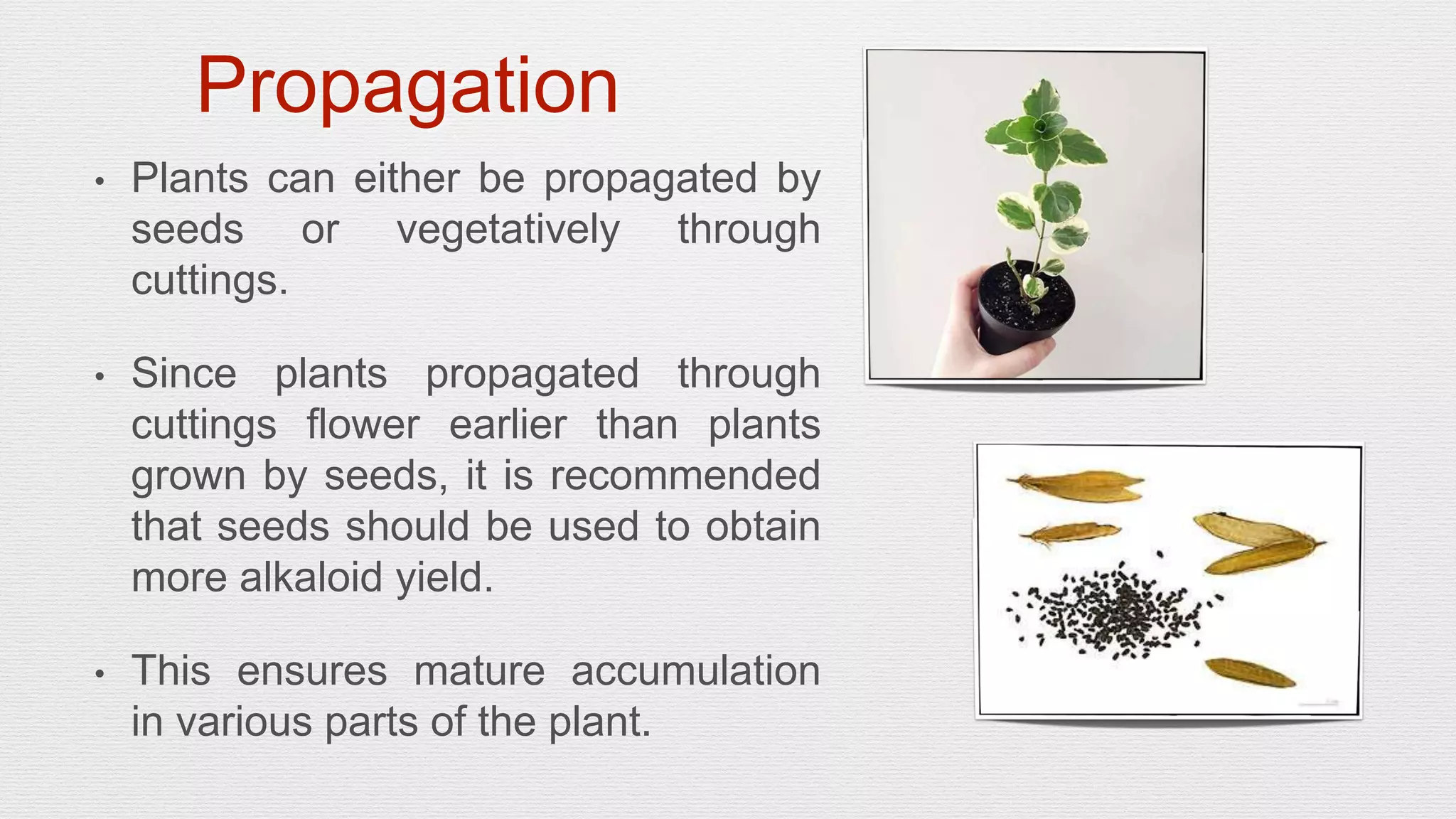 Slide 9