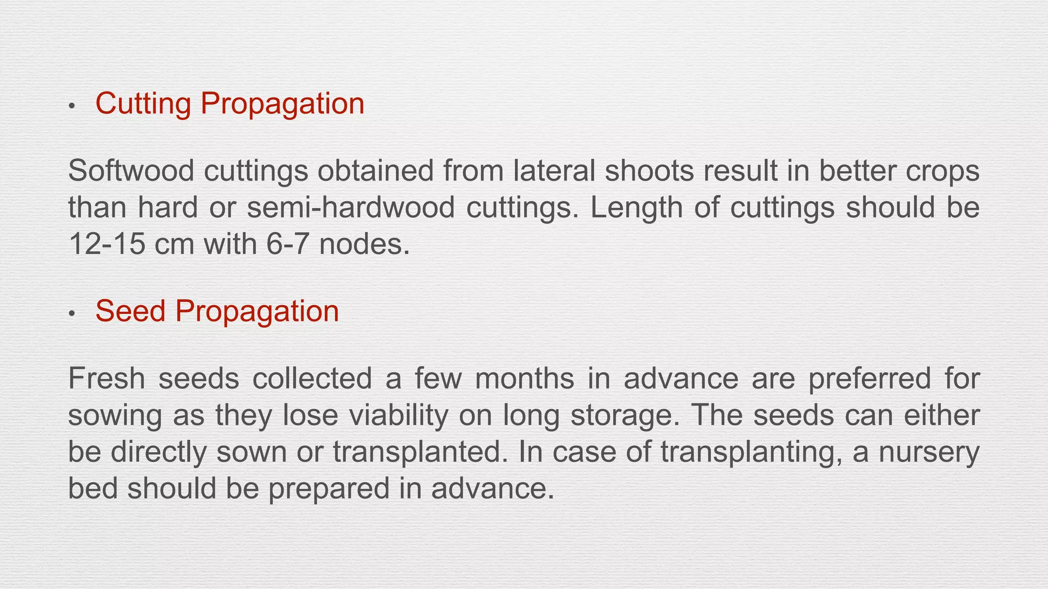 Slide 10