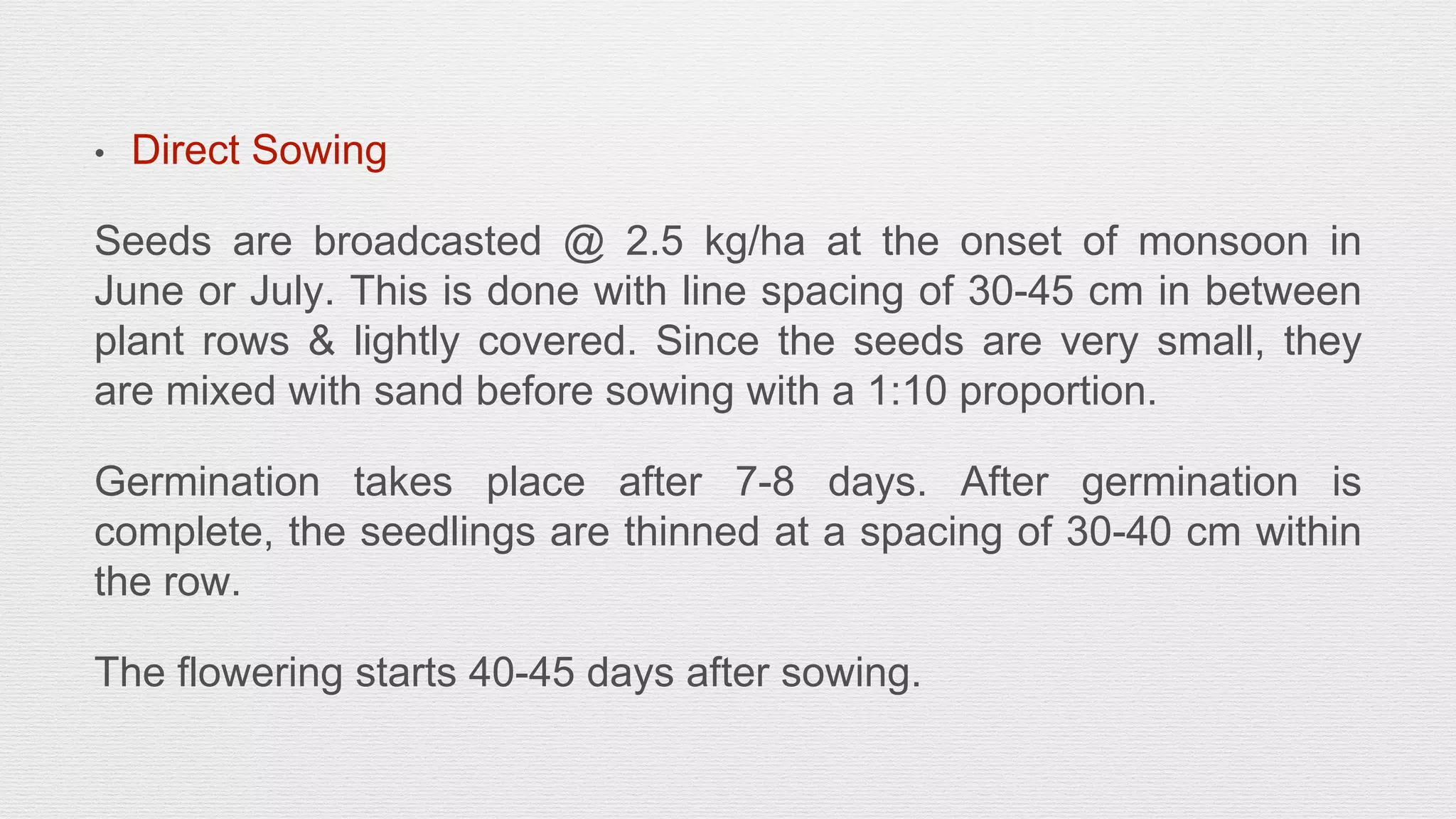 Slide 11