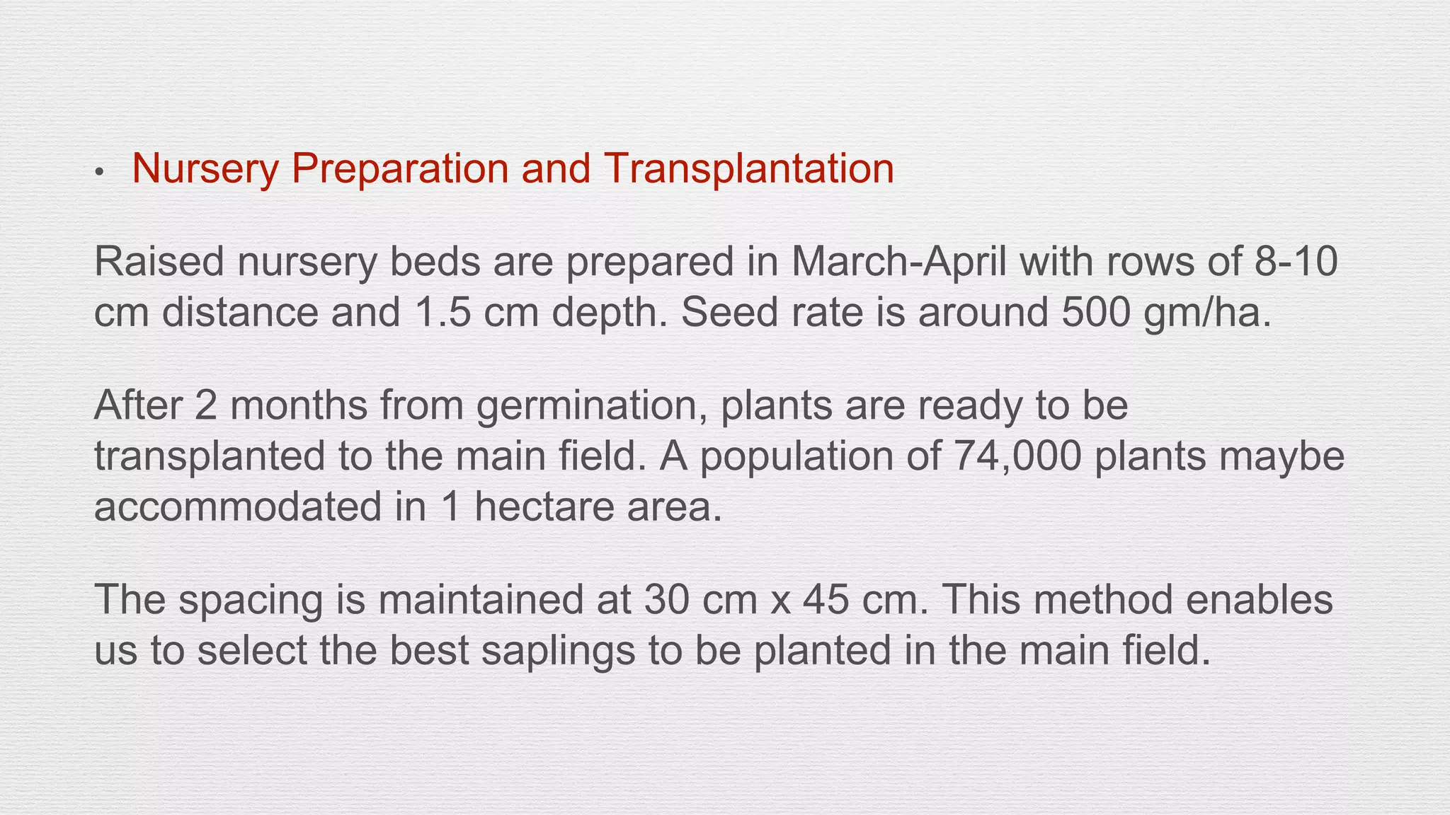 Slide 12
