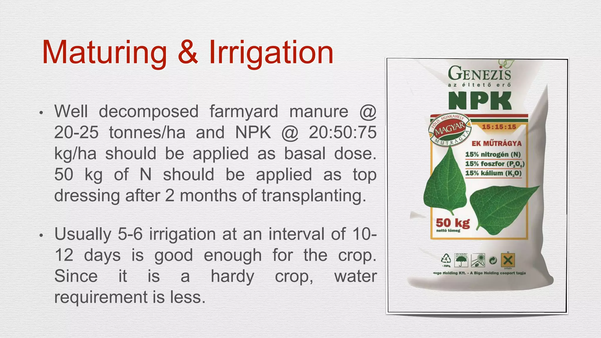 Slide 13