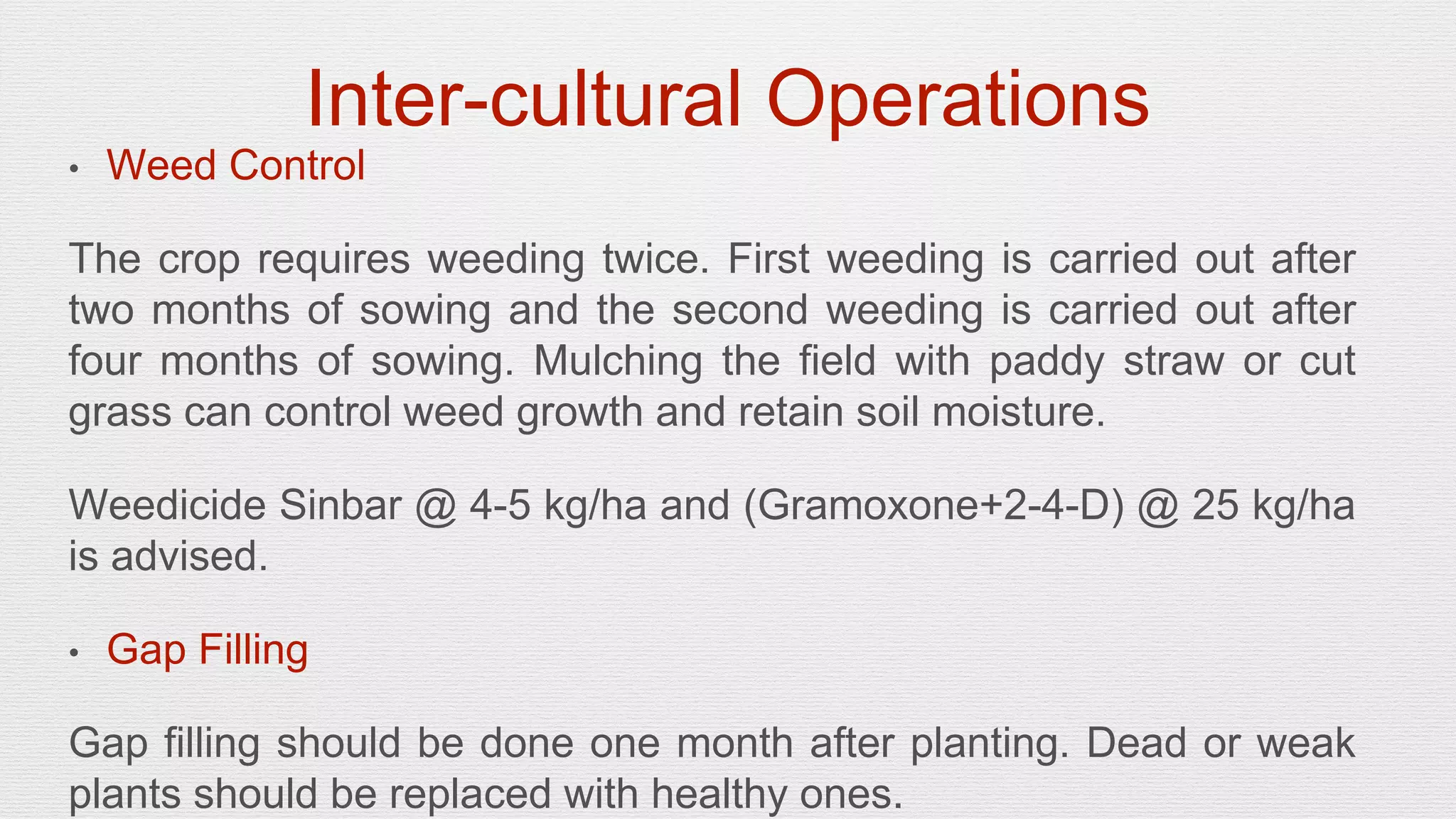 Slide 14